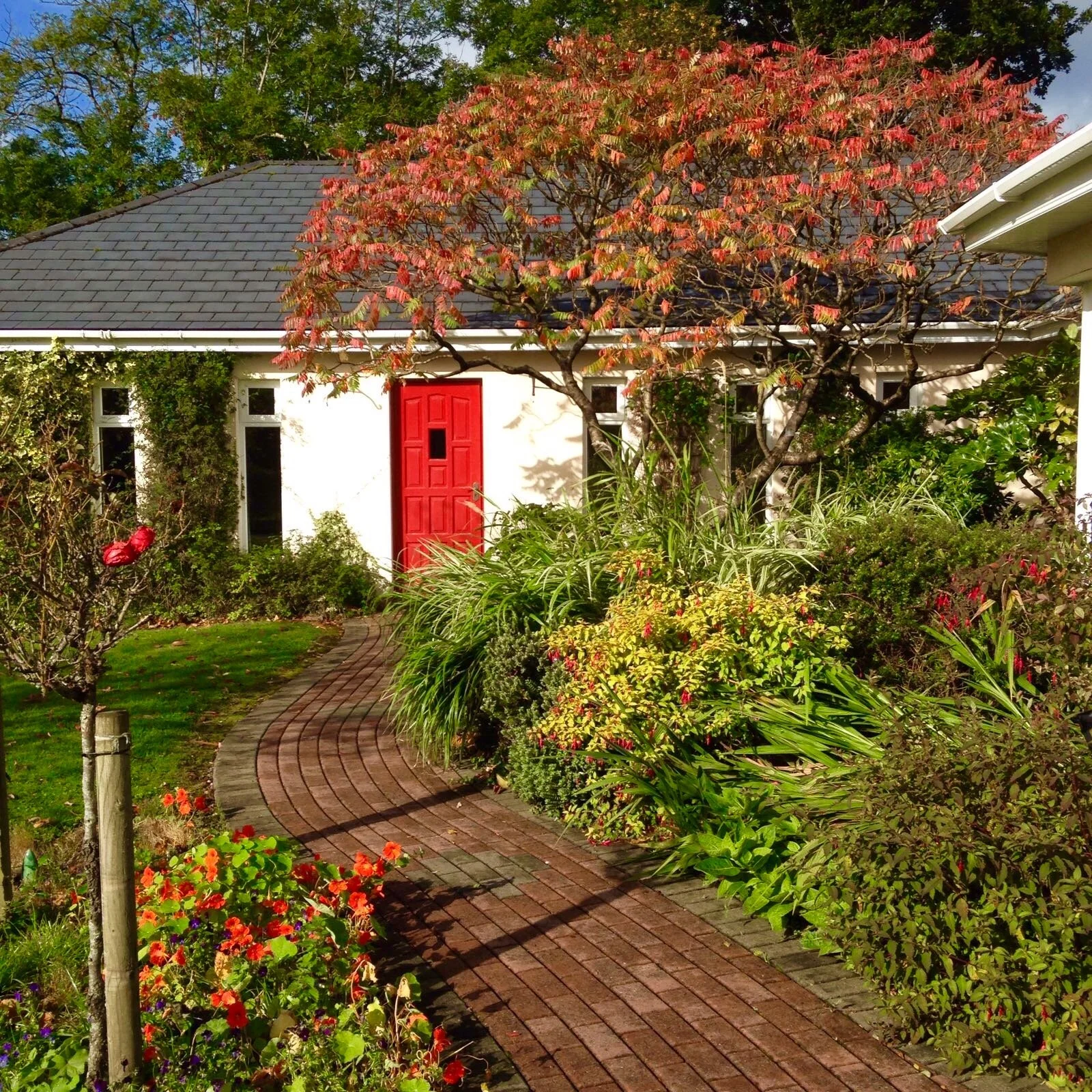 A house with a sloped roof and white exterior walls features a red front door and a brick pathway leading to it. The house is surrounded by green bushes and colorful flowers, with a tree with reddish leaves in front.