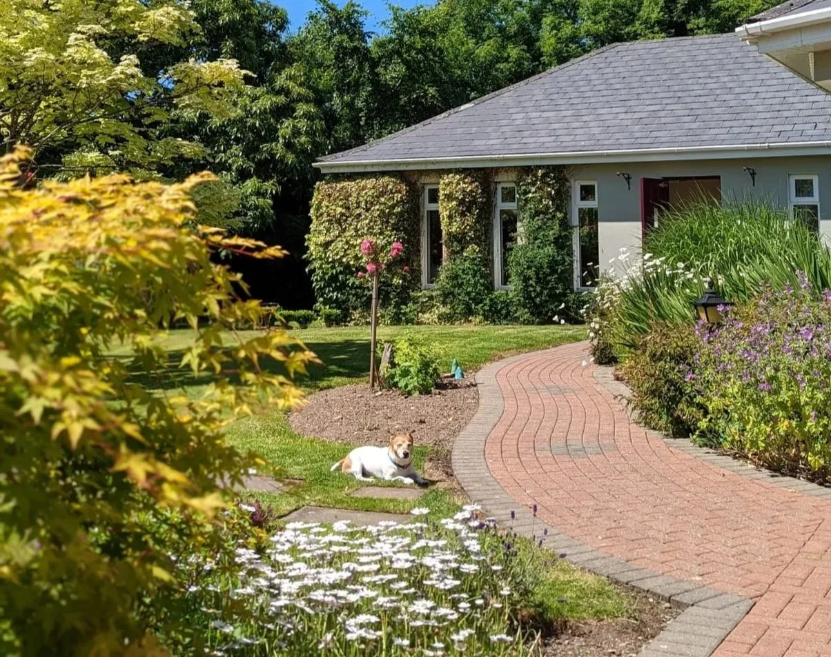 A sunny garden with a brick pathway, a dog lying on the grass, a variety of colorful flowers, bushes, and trees, and a white house with a gray roof in the background.