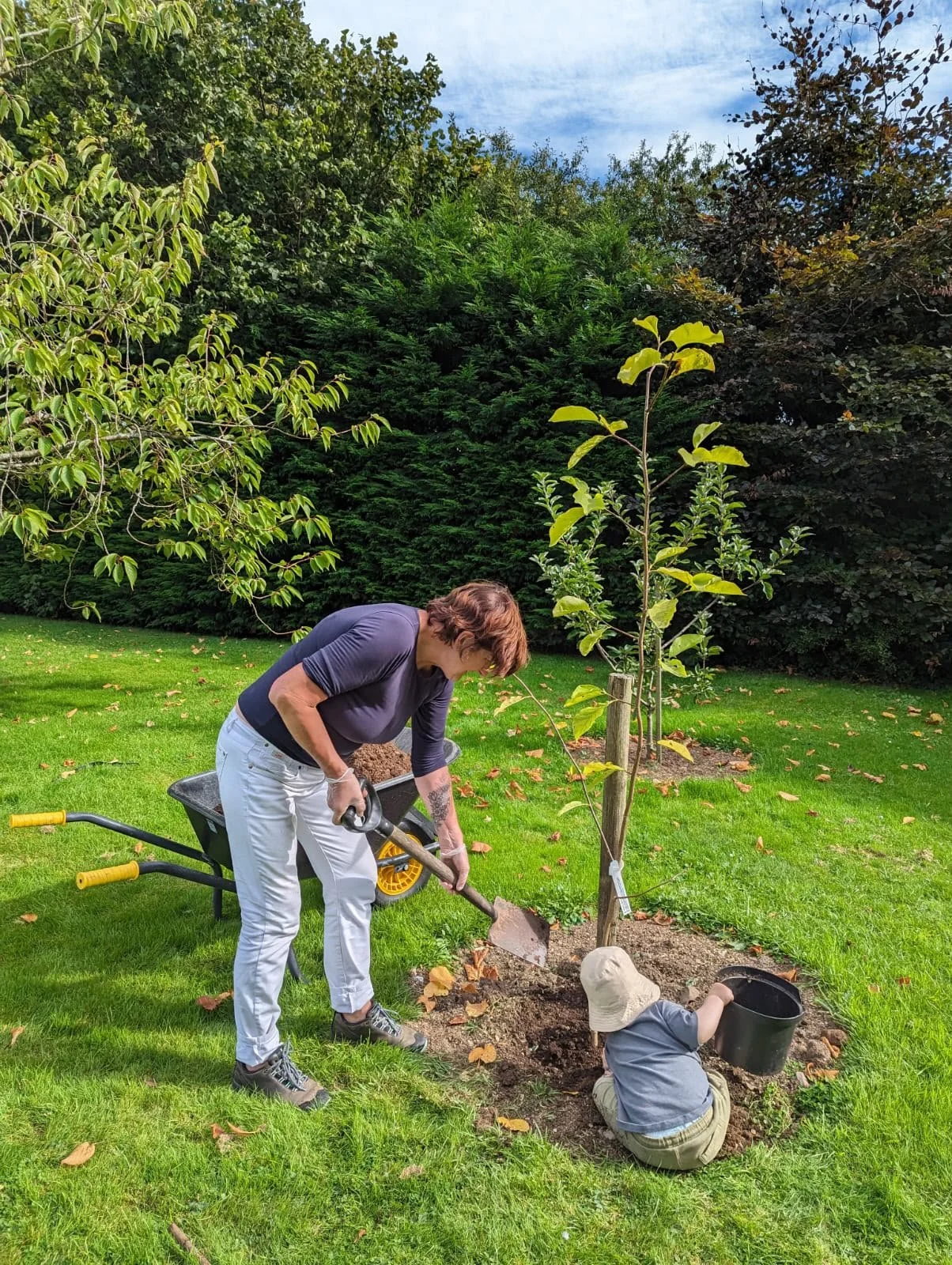 An adult woman and a young child planting a small tree in a park or garden area, with trees and grass in the background on a sunny day.