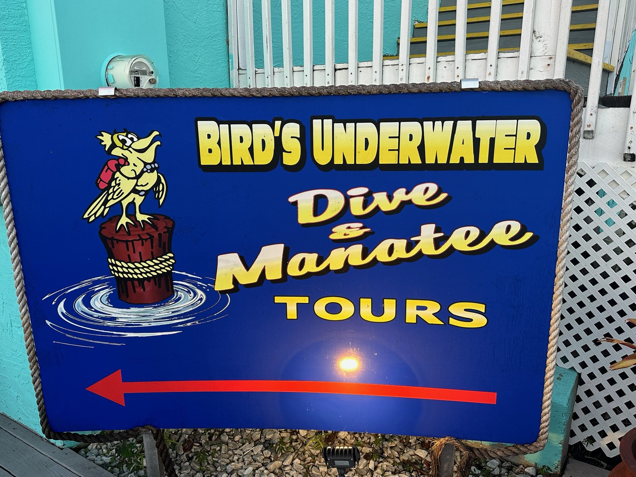 Manatee Tour, Crystal River, FL