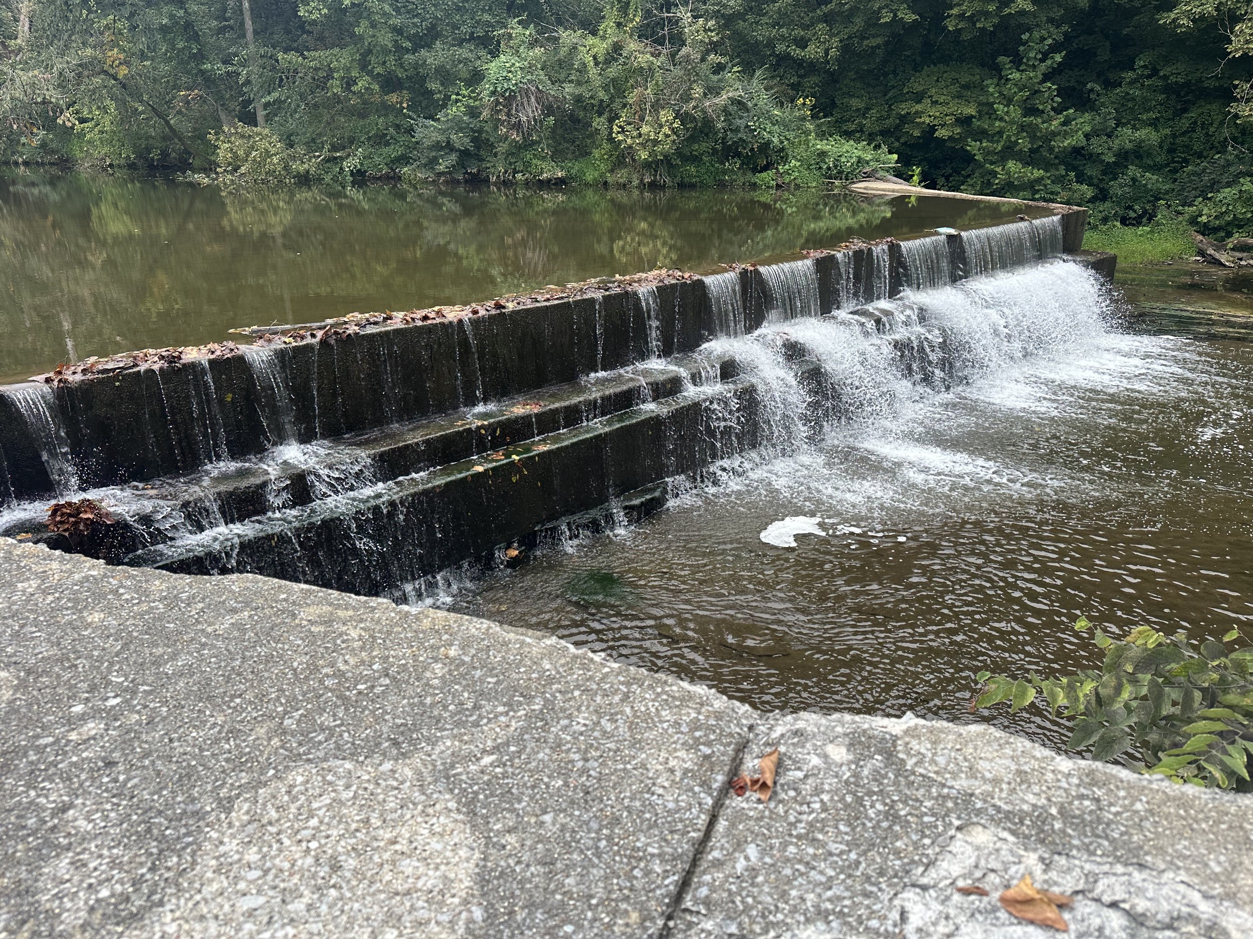 Stream flowing over a small concrete dam in a wooded area with green trees and bushes.