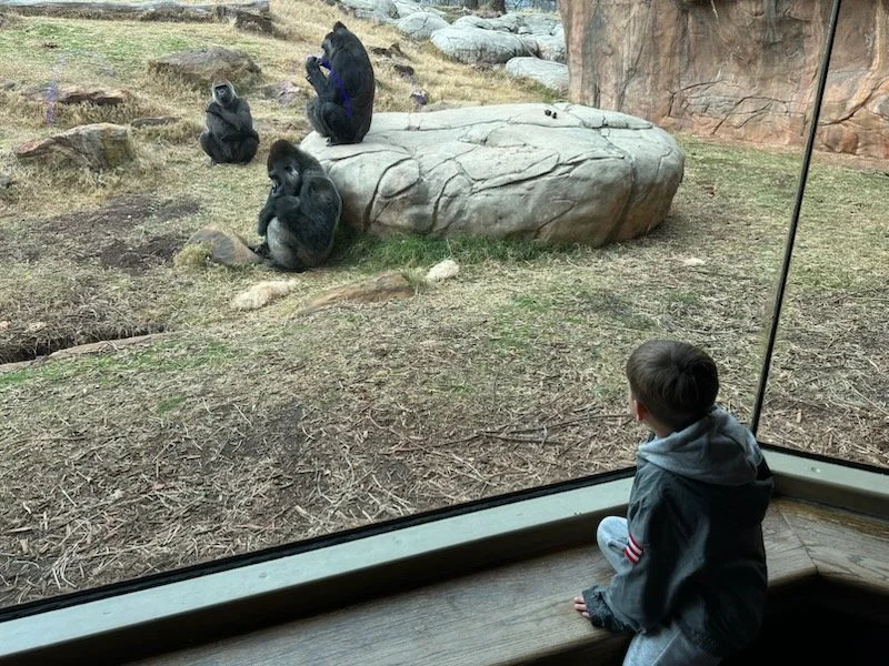 Checking out the Oklahoma City Zoo