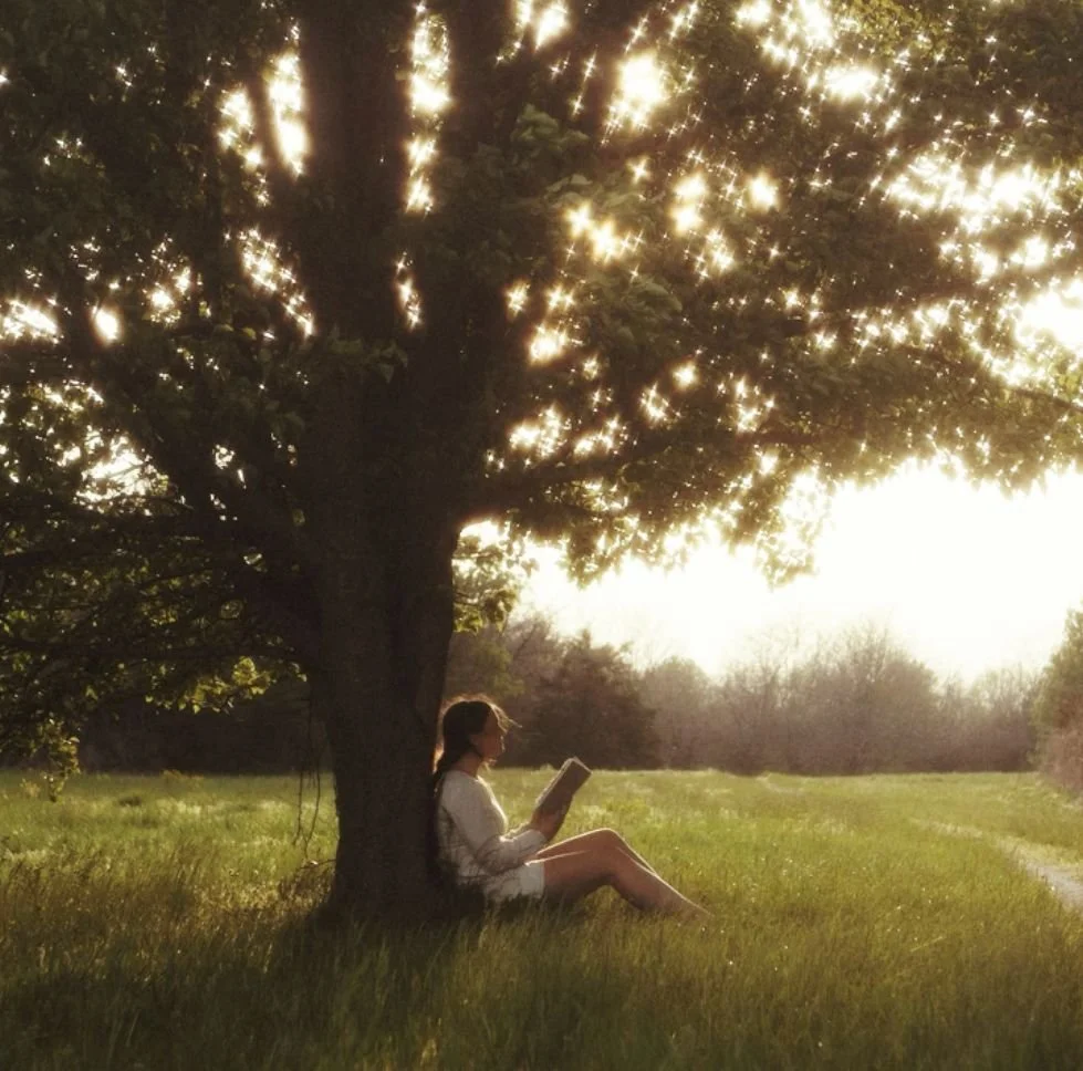 A girl reading a book while sitting under a tree in a grassy field at sunset
