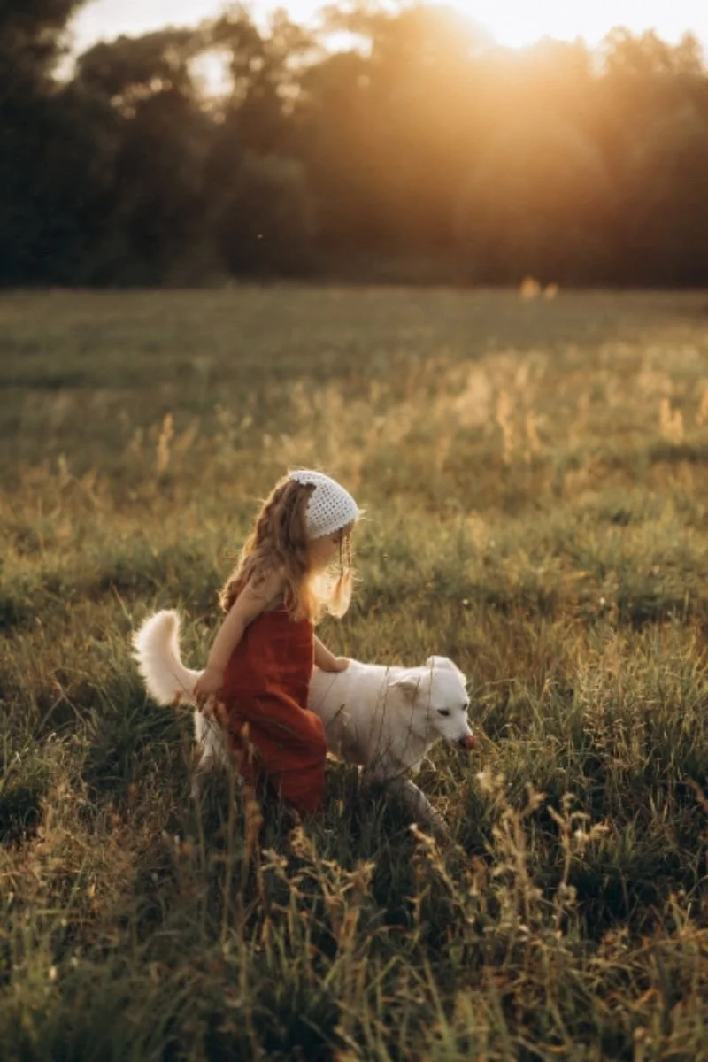 The Child Who Had a Dog: How One Safe Relationship Can Change a Trauma Story