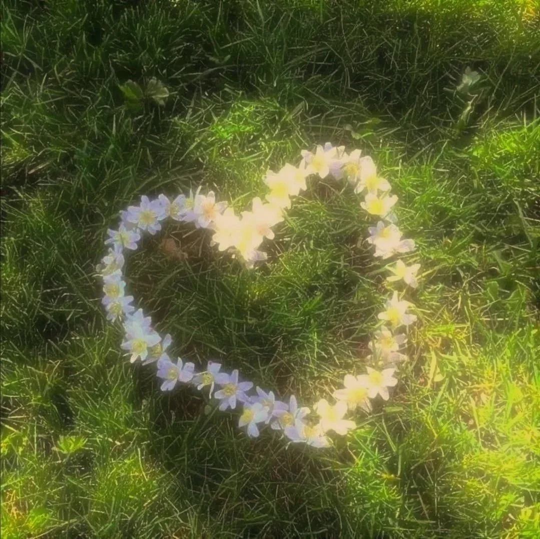It's Okay Not to Feel Okay: Honoring Your Truth After Trauma