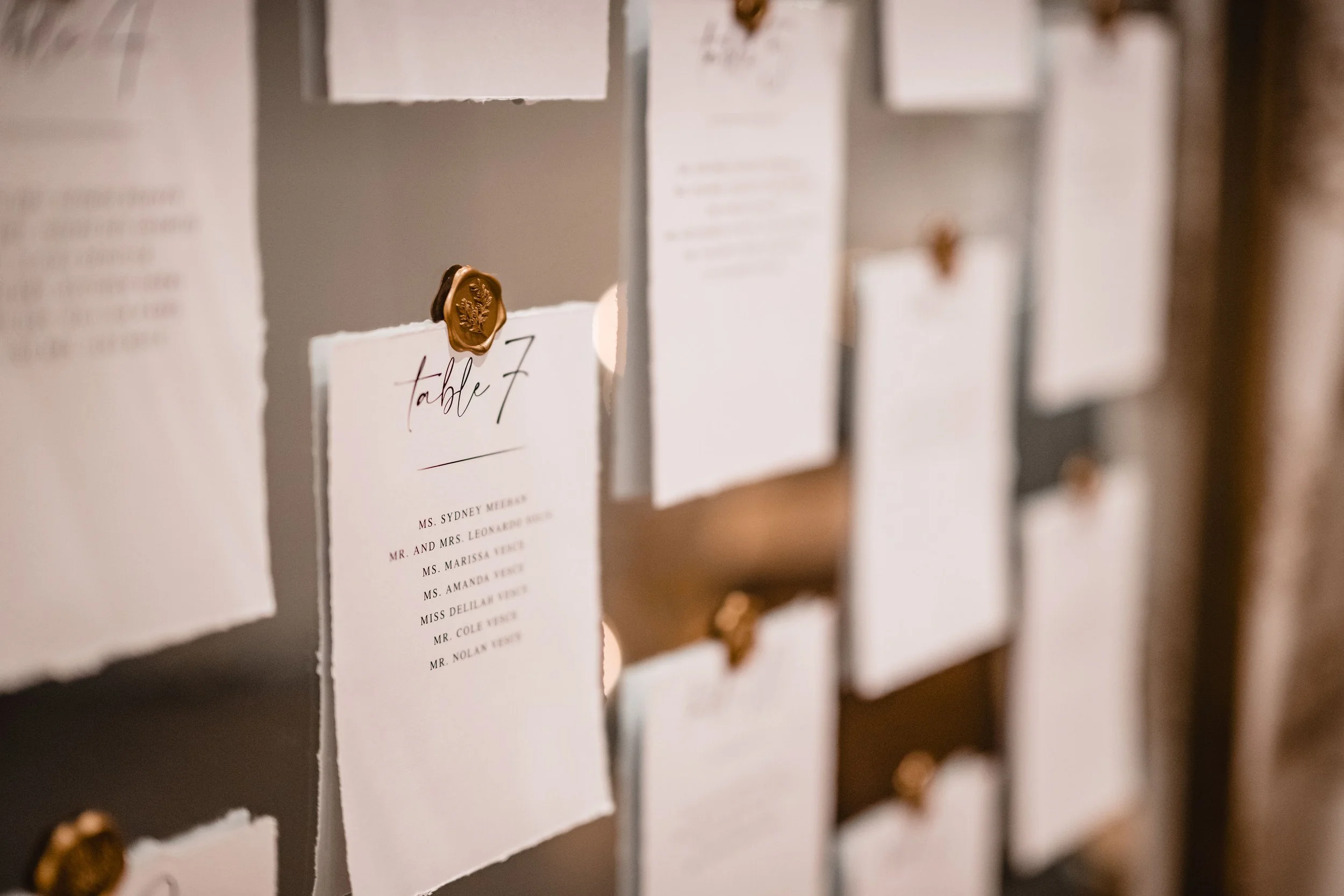 Gianna-Tommy_Wedding-0528.jpg