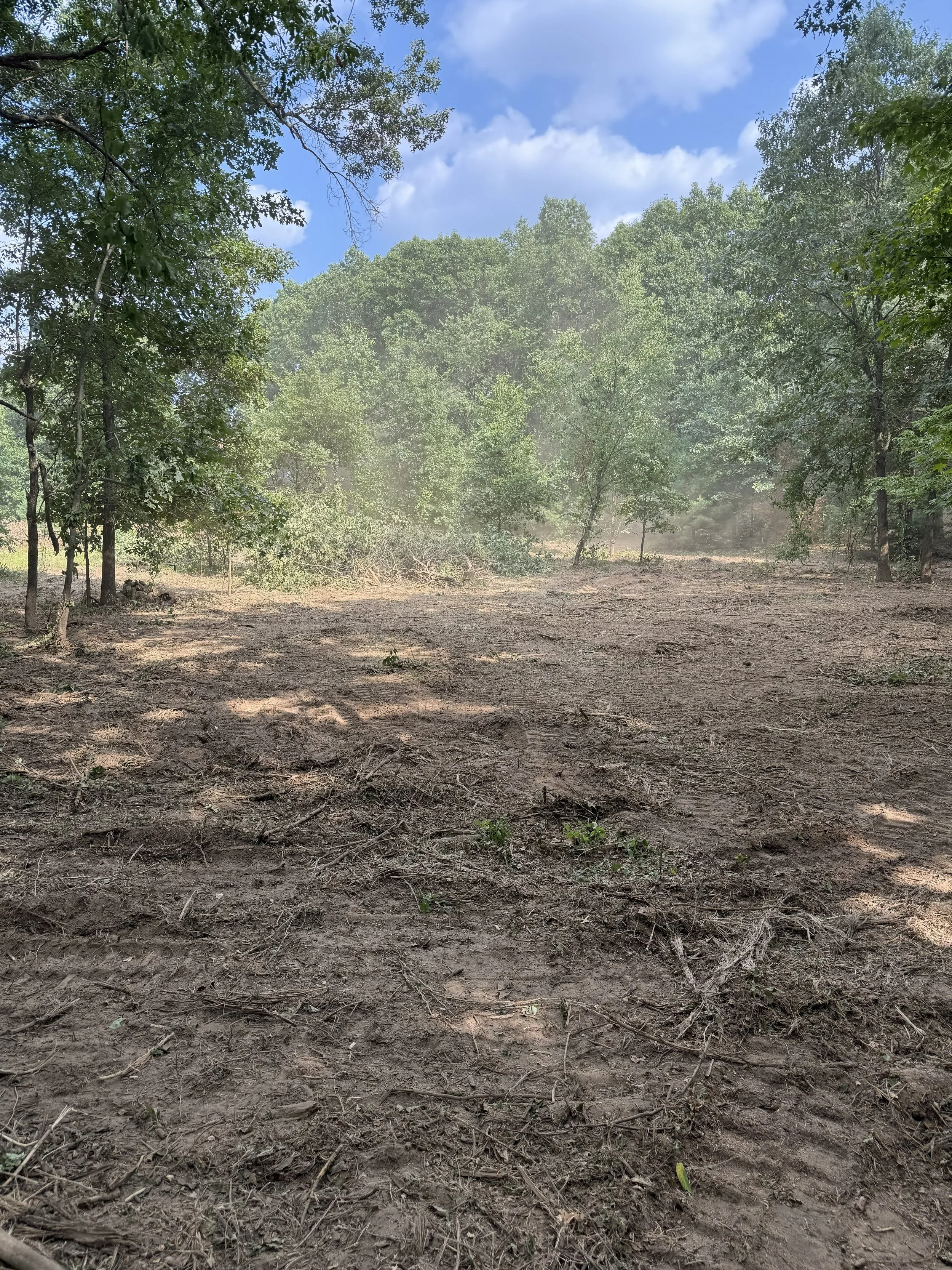Open dirt clearing in a wooded area with trees and a blue sky with clouds in the background.