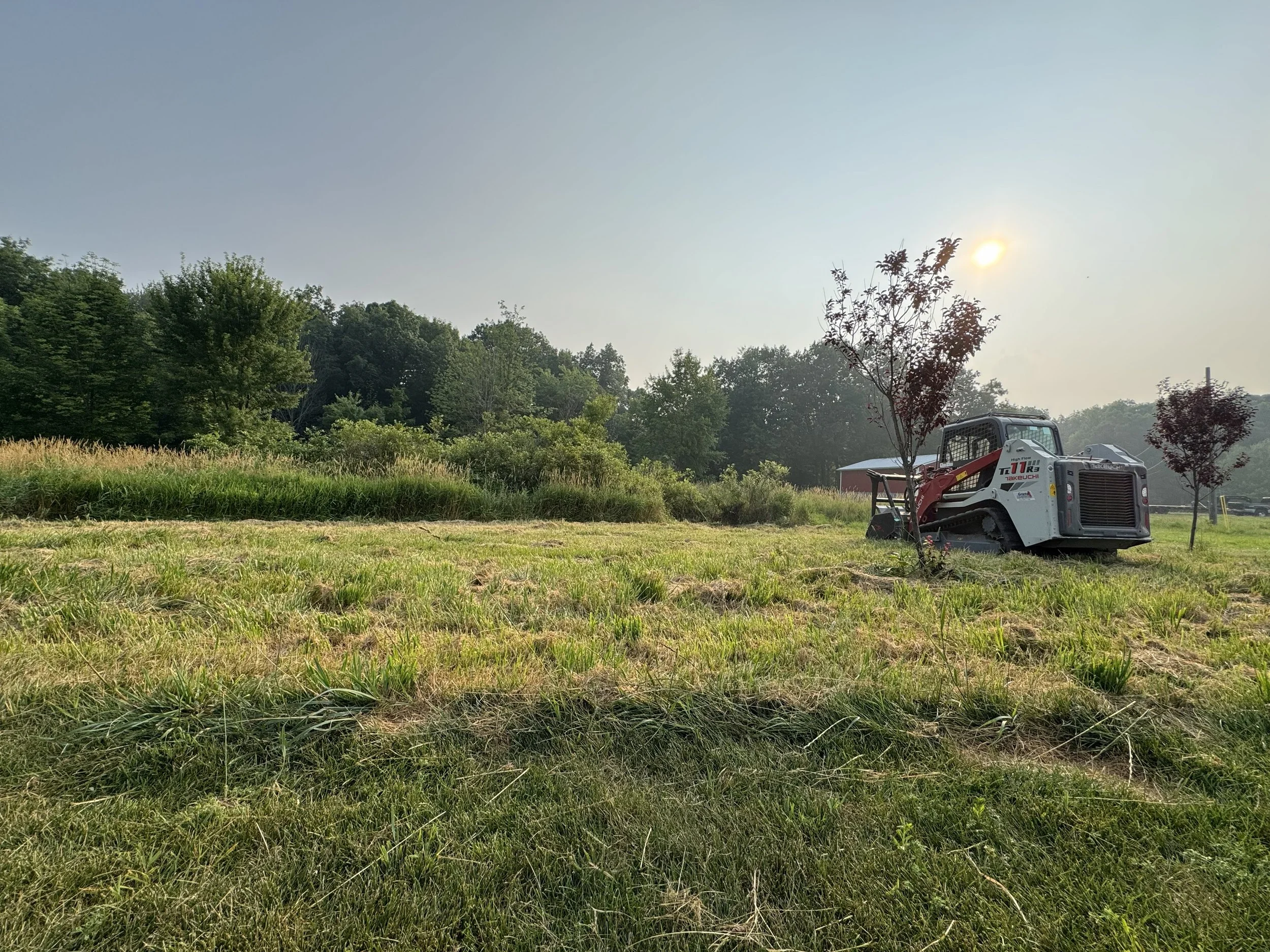 A field with patches of grass and dirt, with trees and bushes in the background. A small excavator is parked on the right side, with a tree planting in front of it. The sky is overcast, and the sun is visible through the thin clouds.