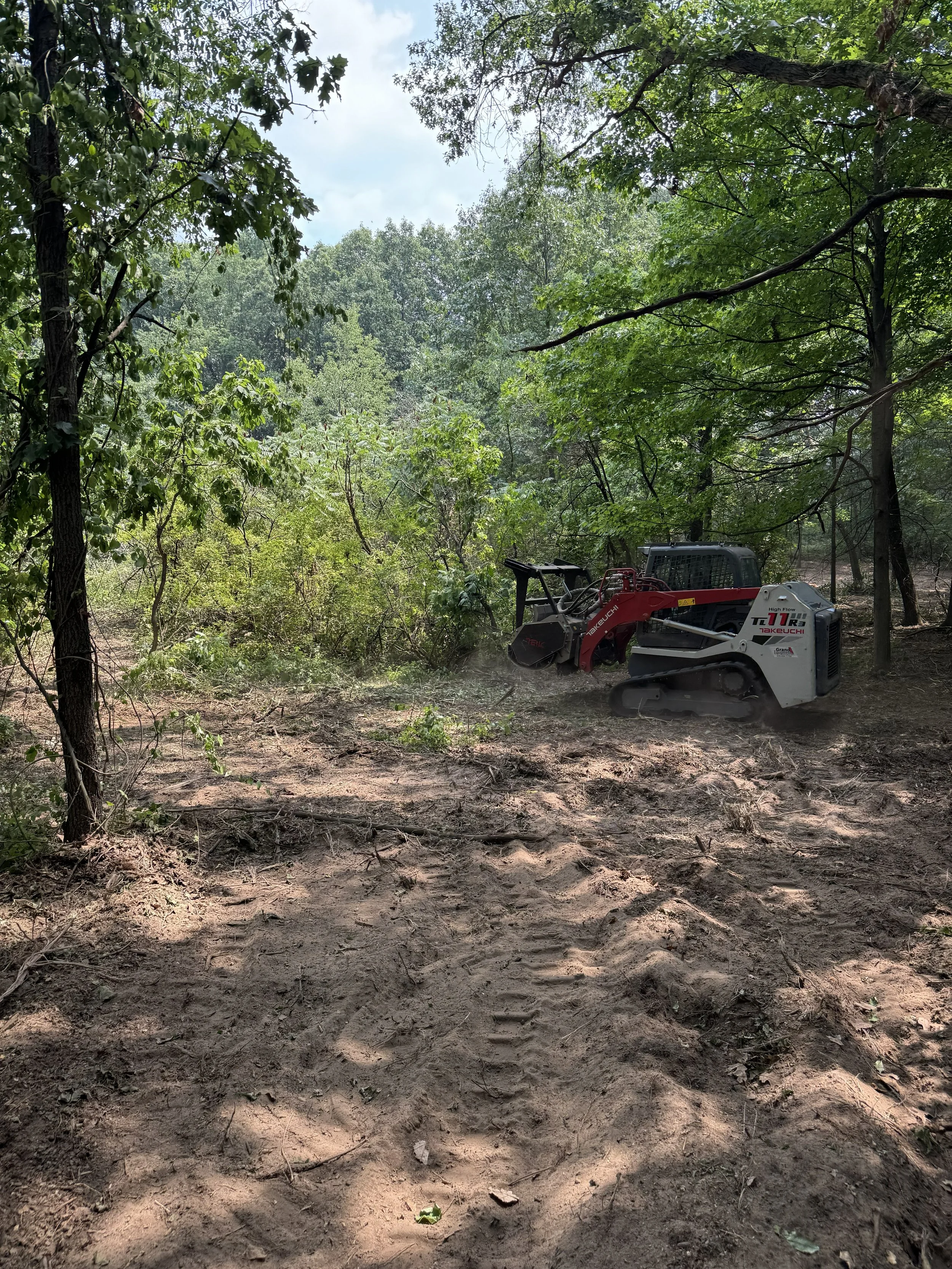 A wooded area cleared for construction with a small bulldozer on the right side.