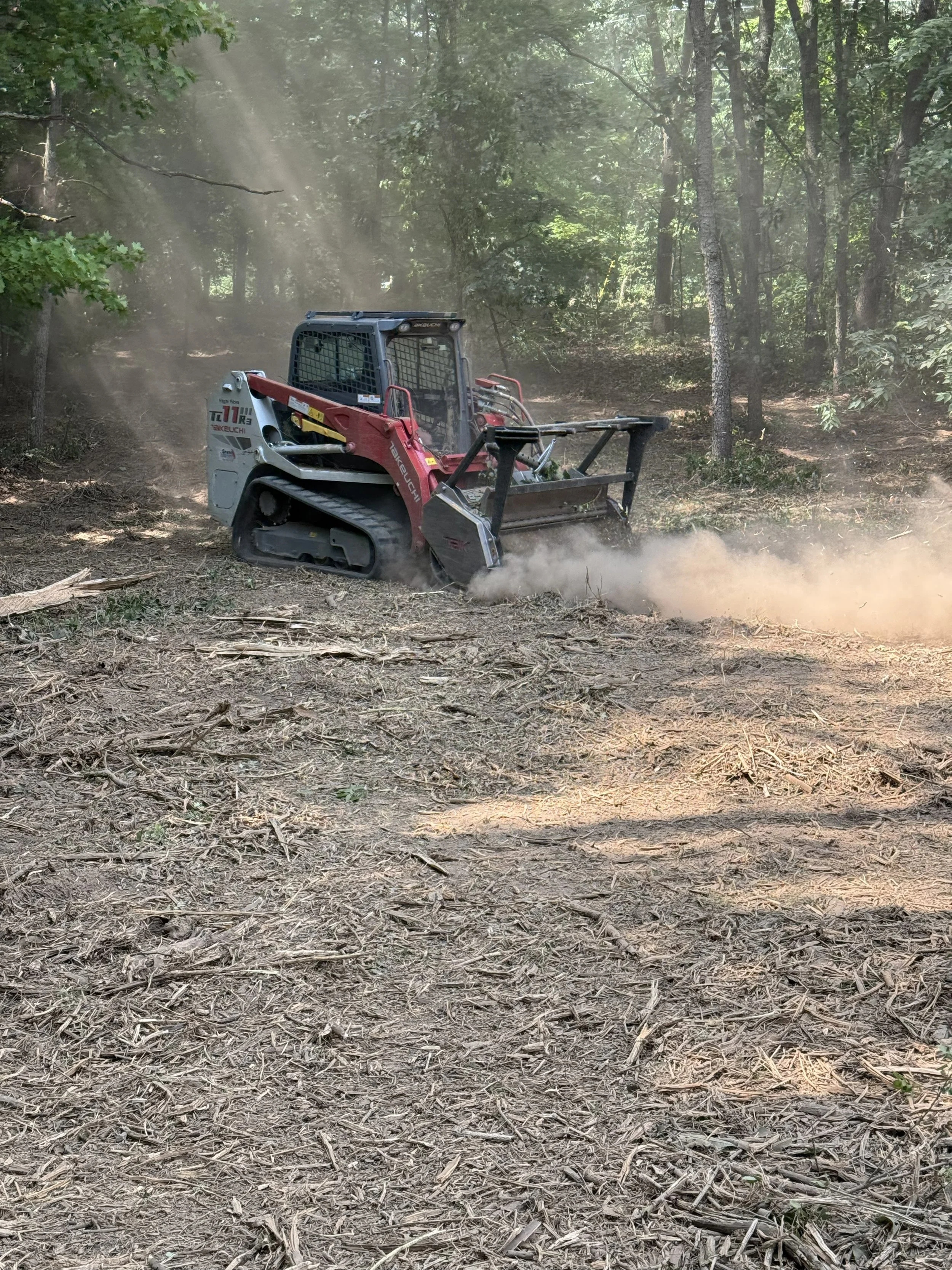 A small tracked forestry mulcher or clearing machine working in a dense forest, kicking up dust and debris on the ground amidst trees and sunlight filtering through the foliage.