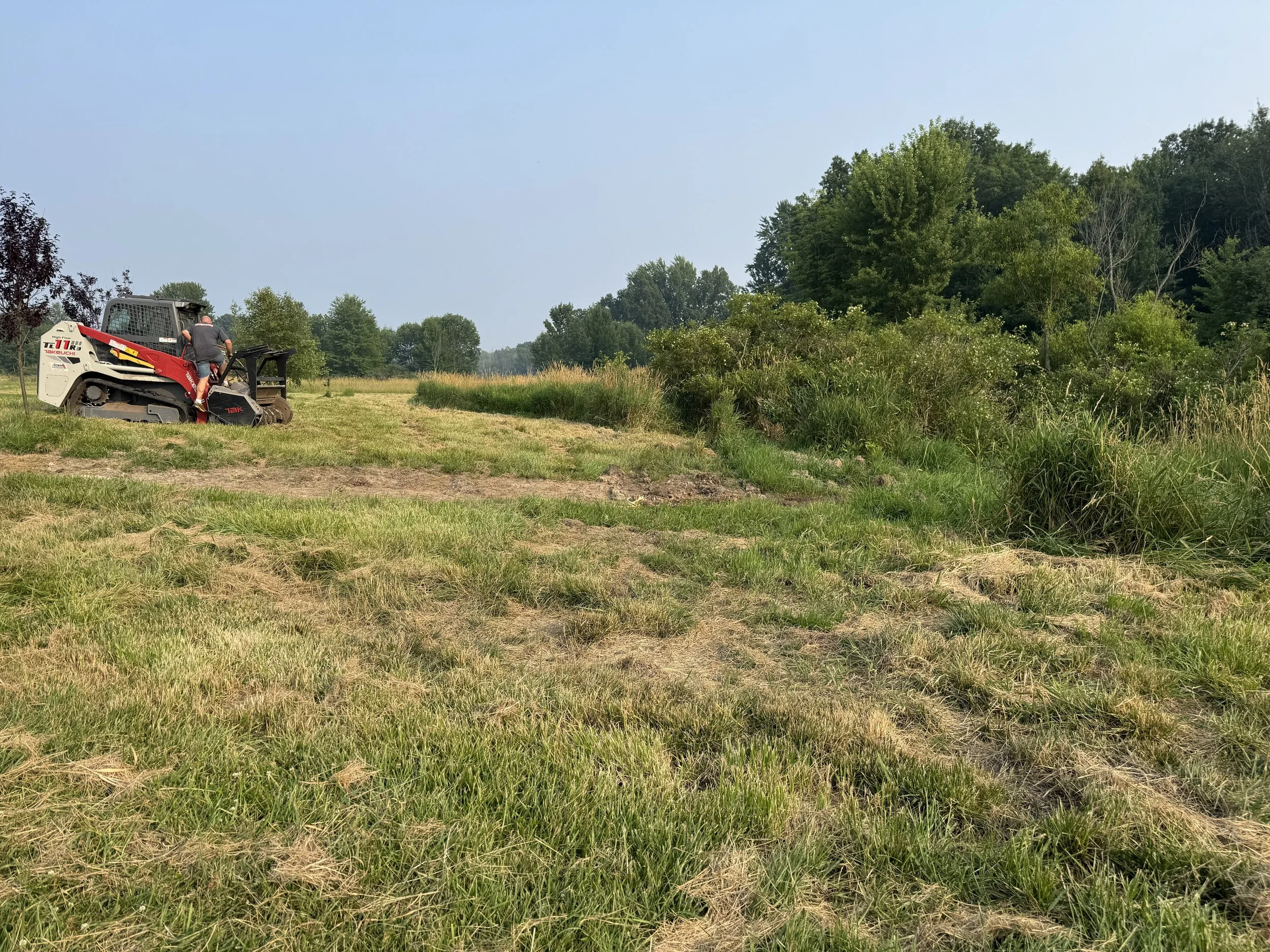 A person operating a skidsteer that is cutting grass or vegetation in a grassy, semi-wooded area with trees in the background.