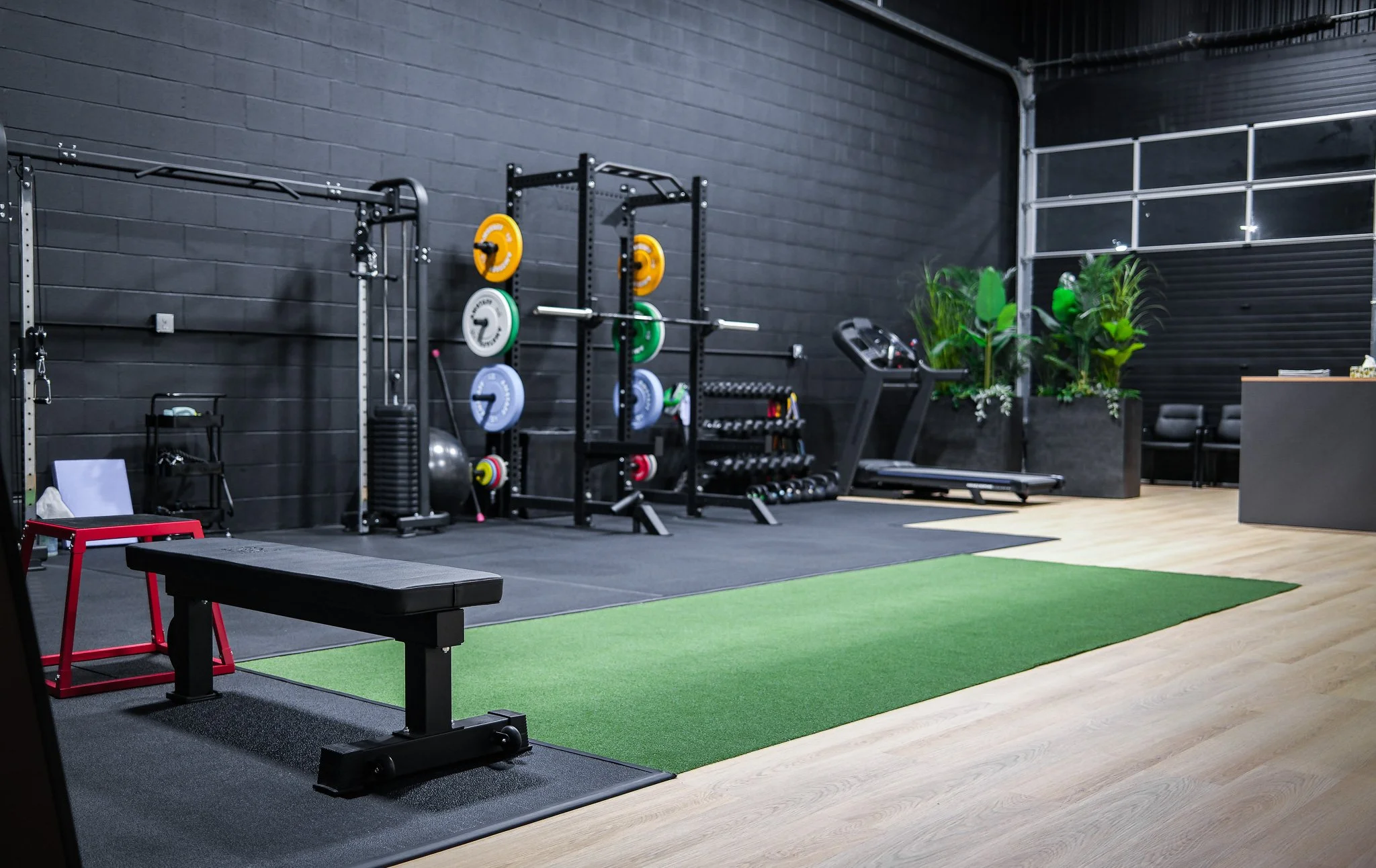 Interior view of a modern gym with black walls, a weight rack with colorful weight plates, exercise equipment, a green artificial turf area, and potted plants in the background.