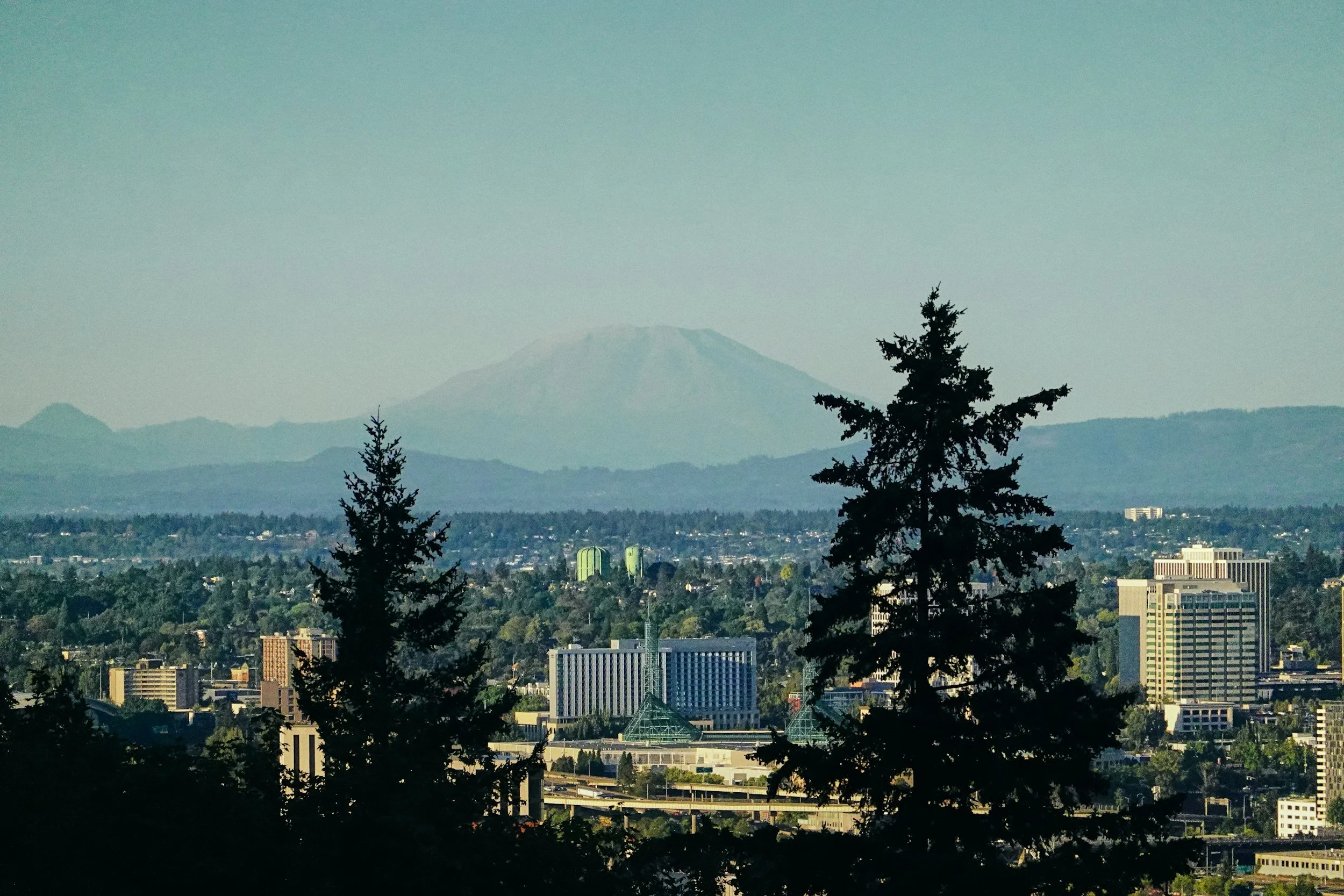 City skyline with tall buildings, trees in foreground, mountains in background, and Mount St. Helens in the distance under a clear sky.