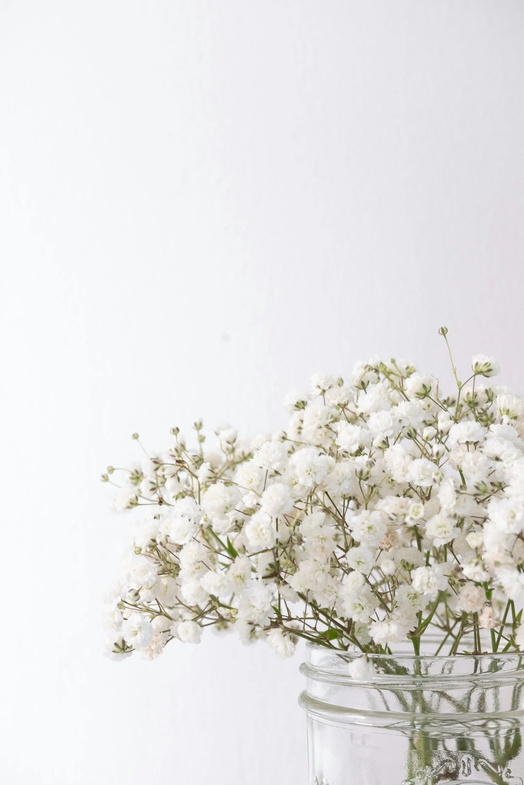 White flowers in a clear jar against a plain light background.
