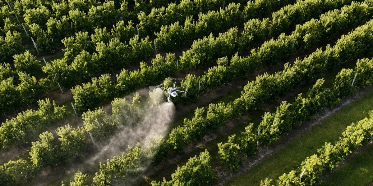 An aerial view of a vineyard with a tractor spraying crops between rows of grapevines.