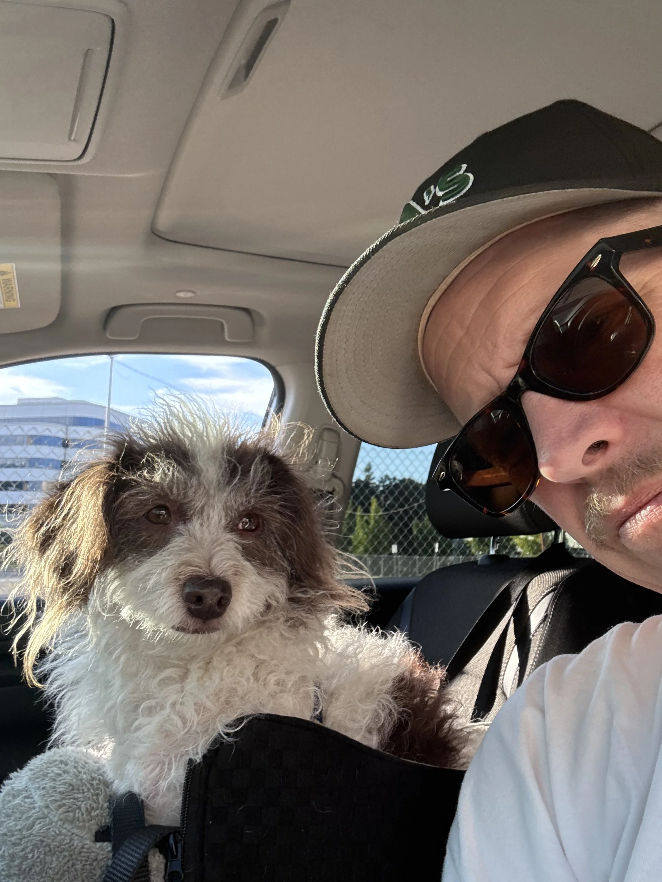 A man wearing sunglasses and a baseball cap sitting in a car next to a dog with curly fur. The dog has brown and white fur and is looking at the camera. The background shows buildings and a fence outside the car window.