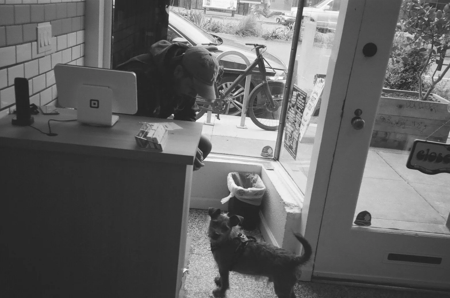 A person wearing a cap and backpack kneeling inside a shop near the entrance, looking down. A small dog with a collar and leash standing near the doorway, looking back at the camera. Outside the shop, a bicycle is parked, and cars are visible on the 