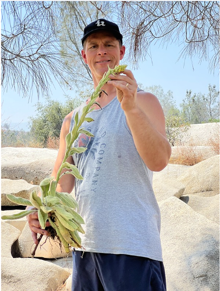 Man in a sleeveless shirt and baseball cap holding a large plant with green leaves outdoors on rocky terrain.