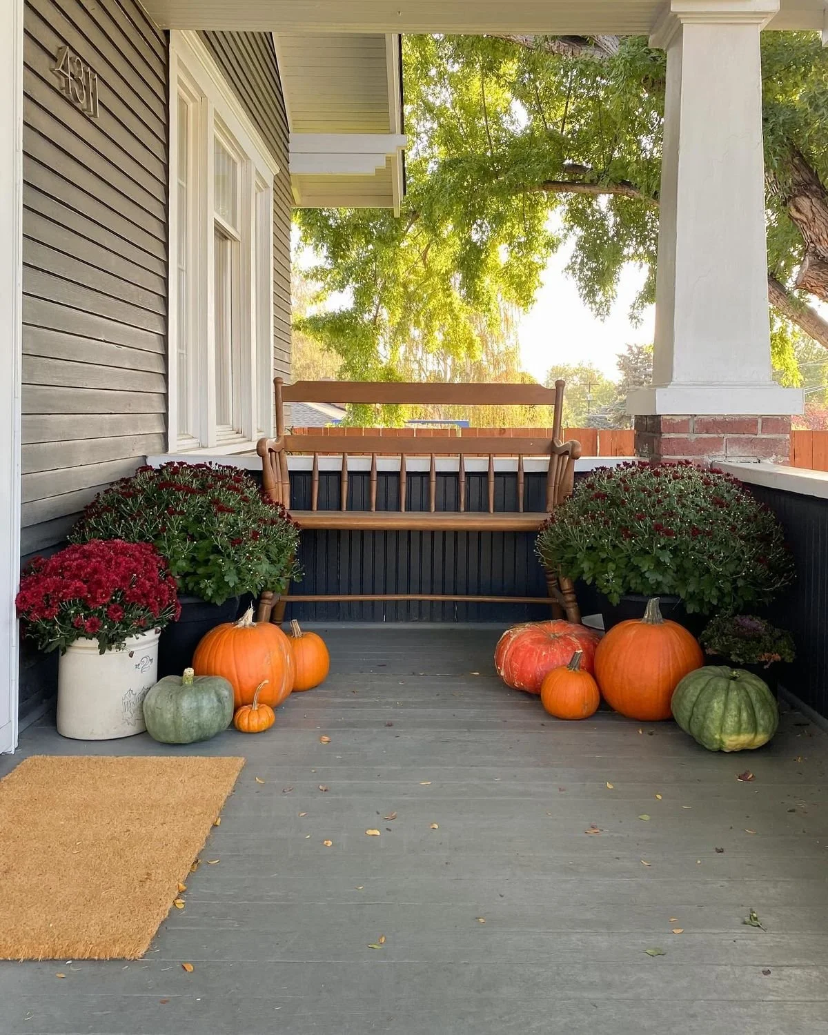 Front porch with pumpkins, potted red chrysanthemums, and chairs, surrounded by a tree and a wooden fence in the background.