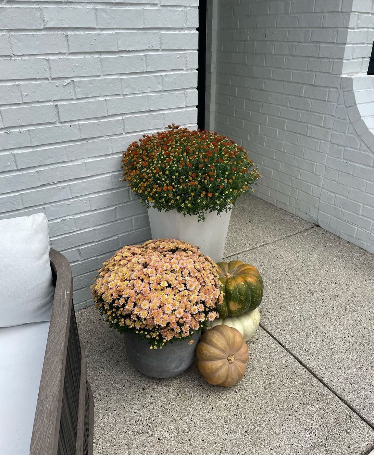 Arrangement of potted flowers and pumpkins outside on a concrete surface near a white brick wall.