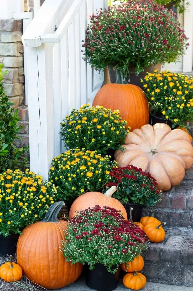 Display of pumpkins and chrysanthemums on a porch step, with a white railing and brick wall in the background.
