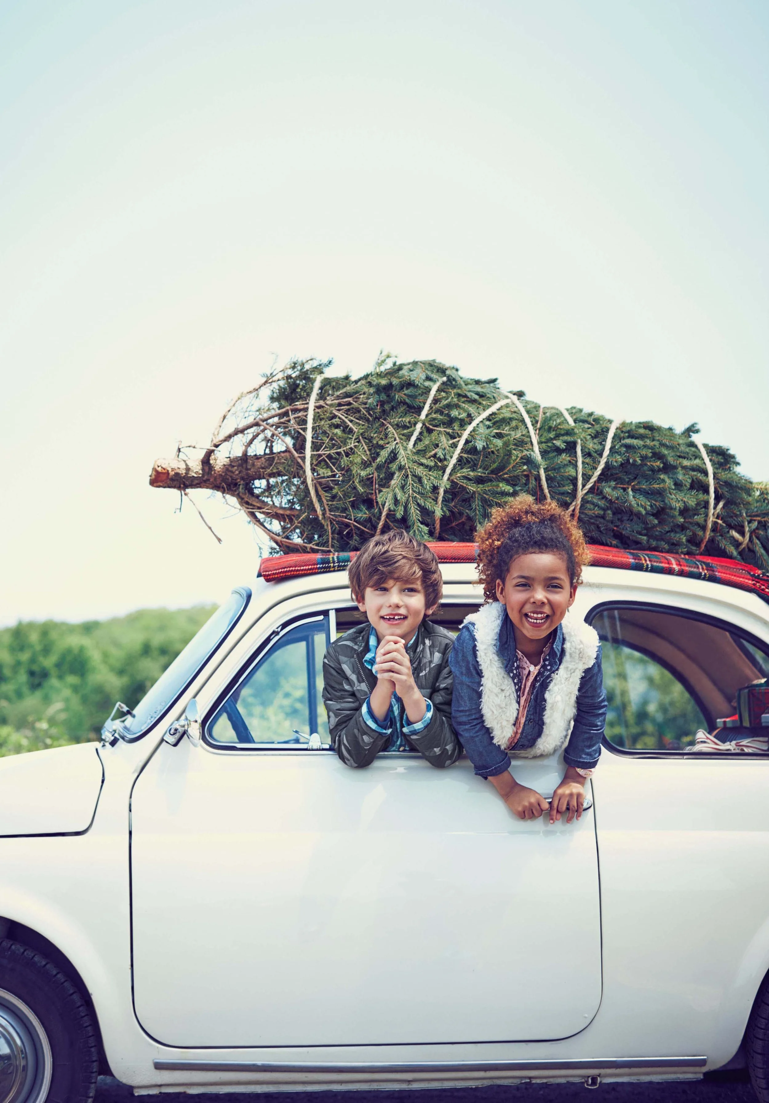 Two children, a boy and a girl, leaning out of the window of a white car, with a large Christmas tree on their roof, outdoors in a green landscape.