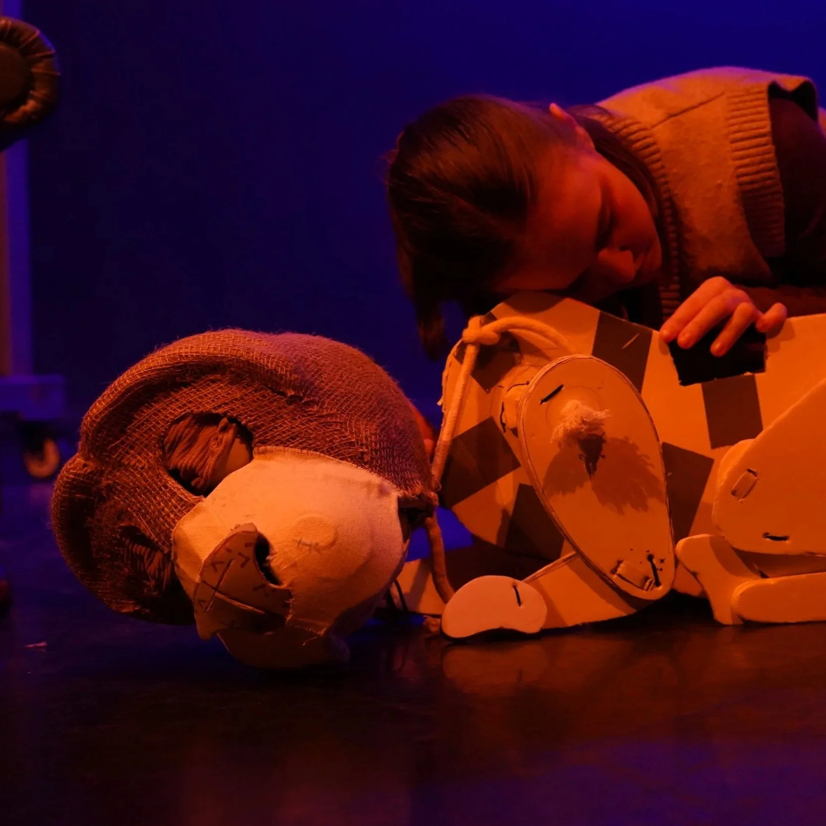 The Fox and the Hound (Dissertation)