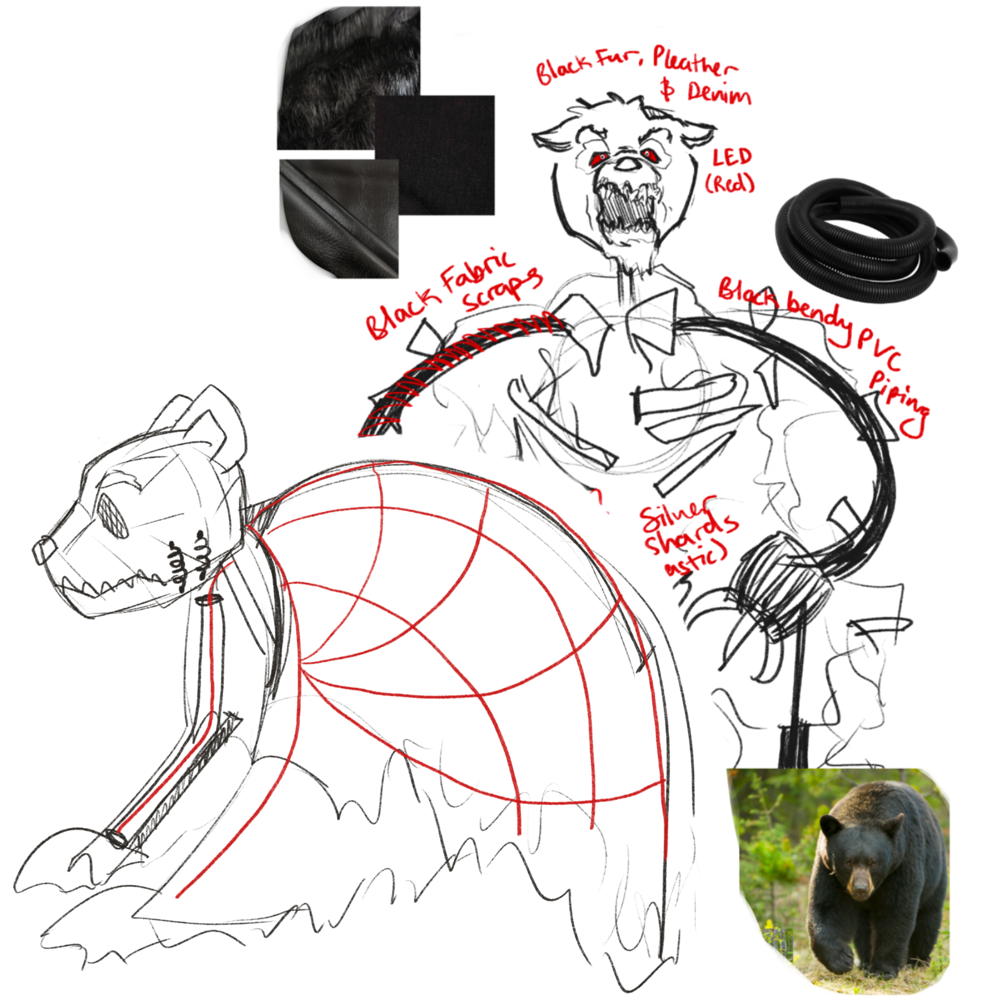 image00002.png