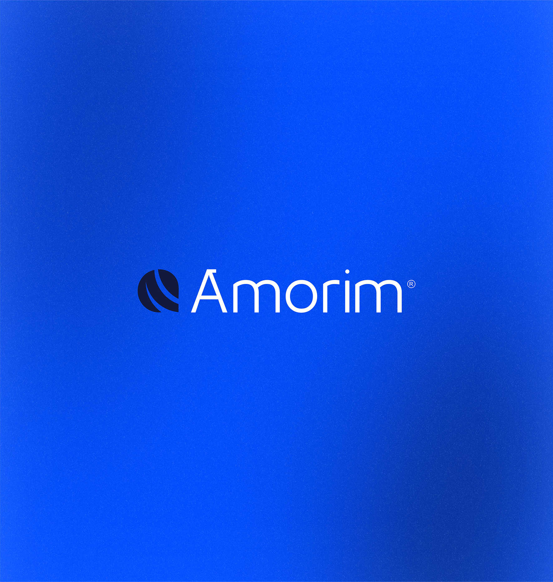 imagem de fundo azul com o logo e nome da empresa Amorm, um símbolo circular estilizado ao lado do texto.
