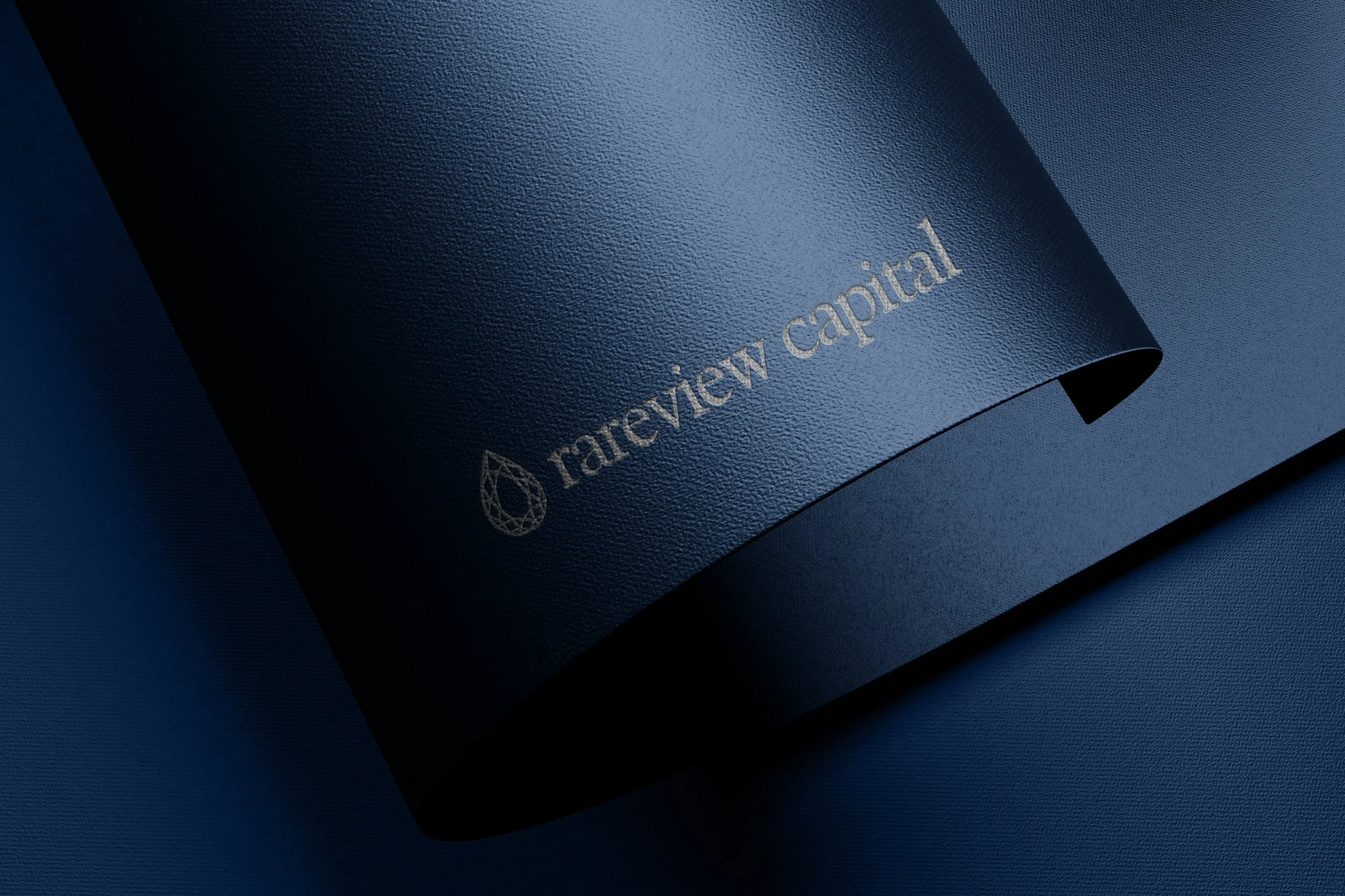 Capa de um livro com fundo azul escuro e textura, com o título 'review capital' em letras prateadas.