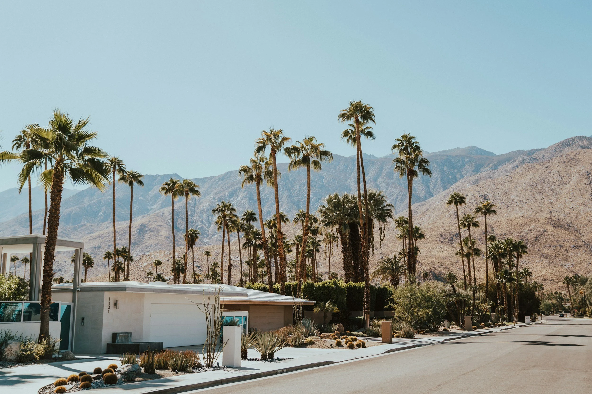 Palm Springs Cleaner
