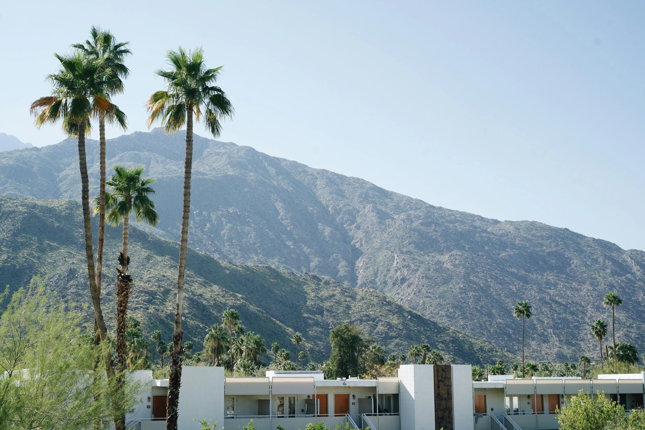 Palm Springs Cleaner