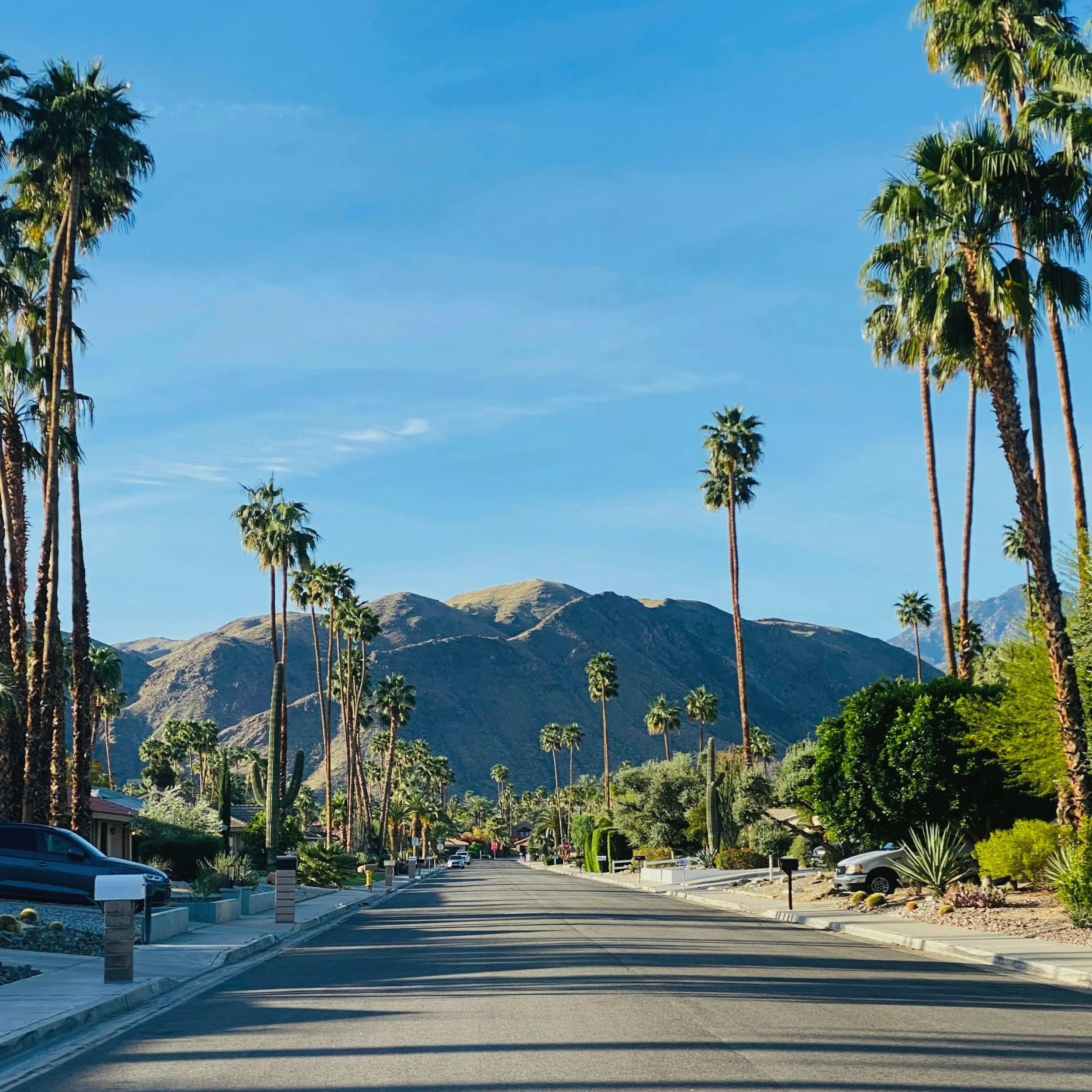 A quiet suburban street lined with palm trees, parked cars, and houses with a view of distant mountains under a clear blue sky.