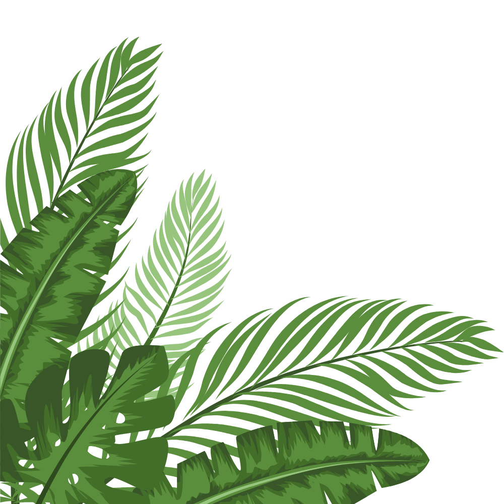 Illustration of various green tropical palm leaves against a black background.