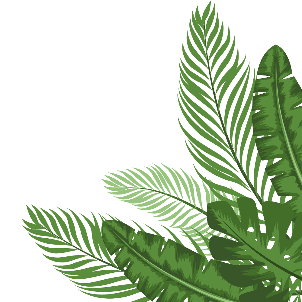 Illustration of green tropical leaves, including banana leaves and palm fronds, on a black background.