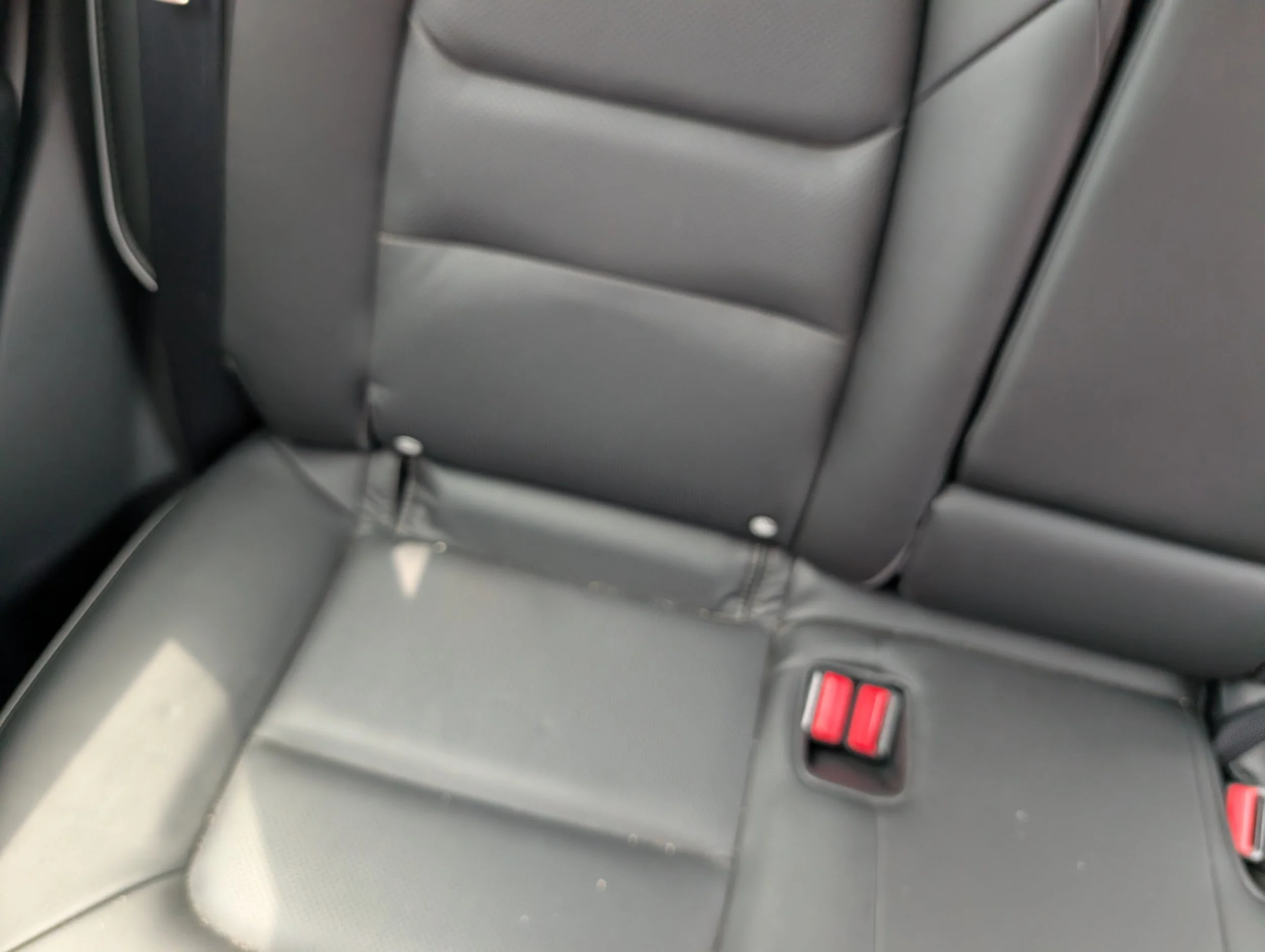 Close-up of gray car backseat with seatbelt and red seatbelt buckle, corner of the rear window, and part of the car interior.