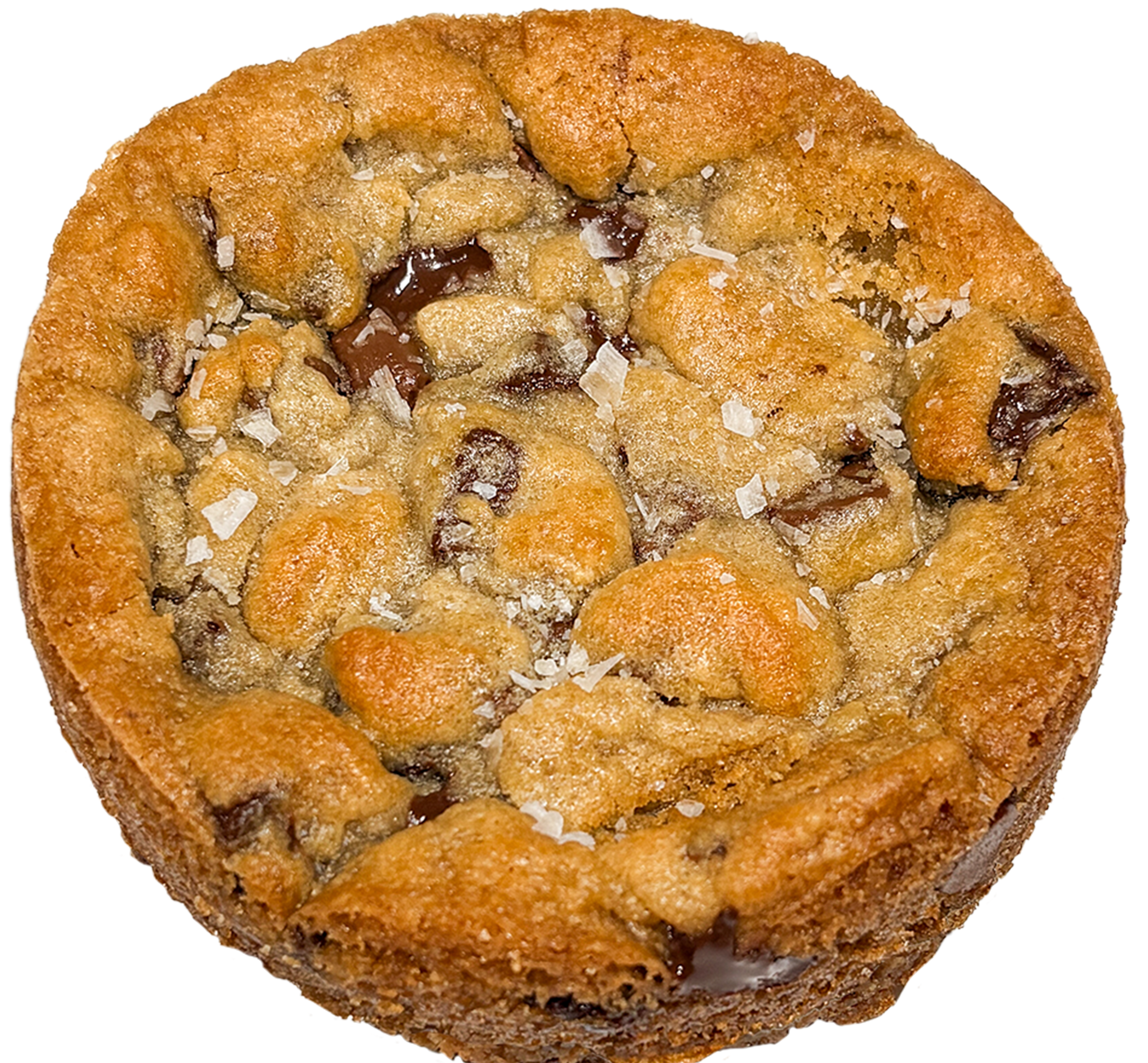 Chocolate Chip Cookie
