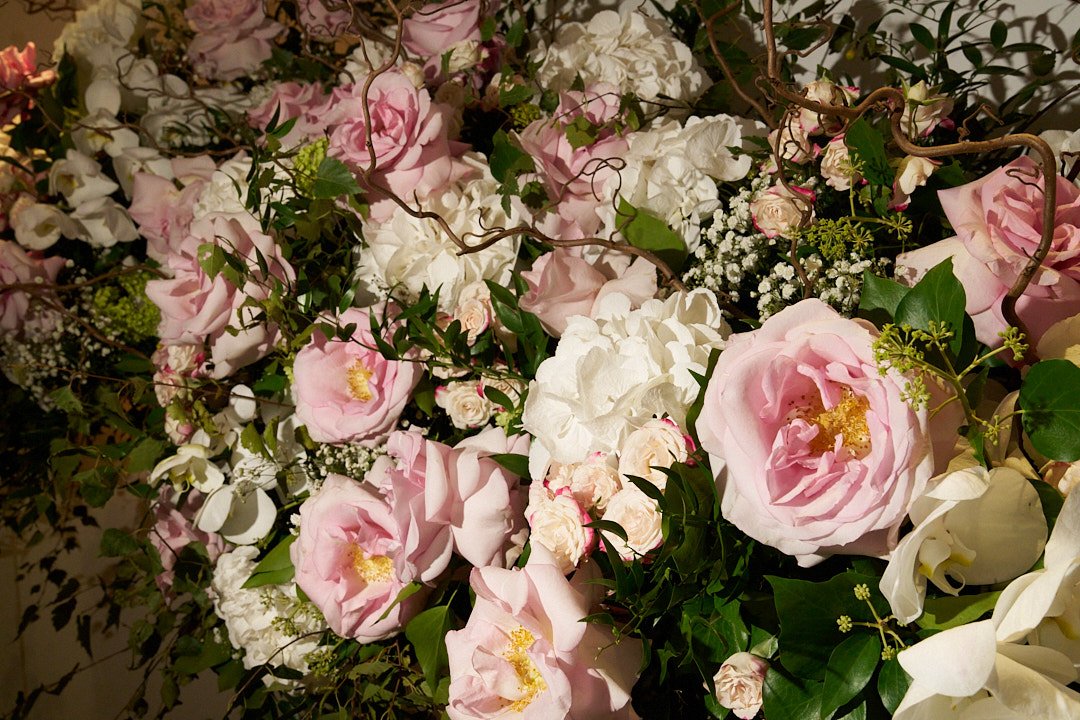 AR509907.jpg