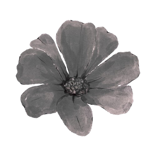 A black and white illustration of a single flower with six petals and detailed center.