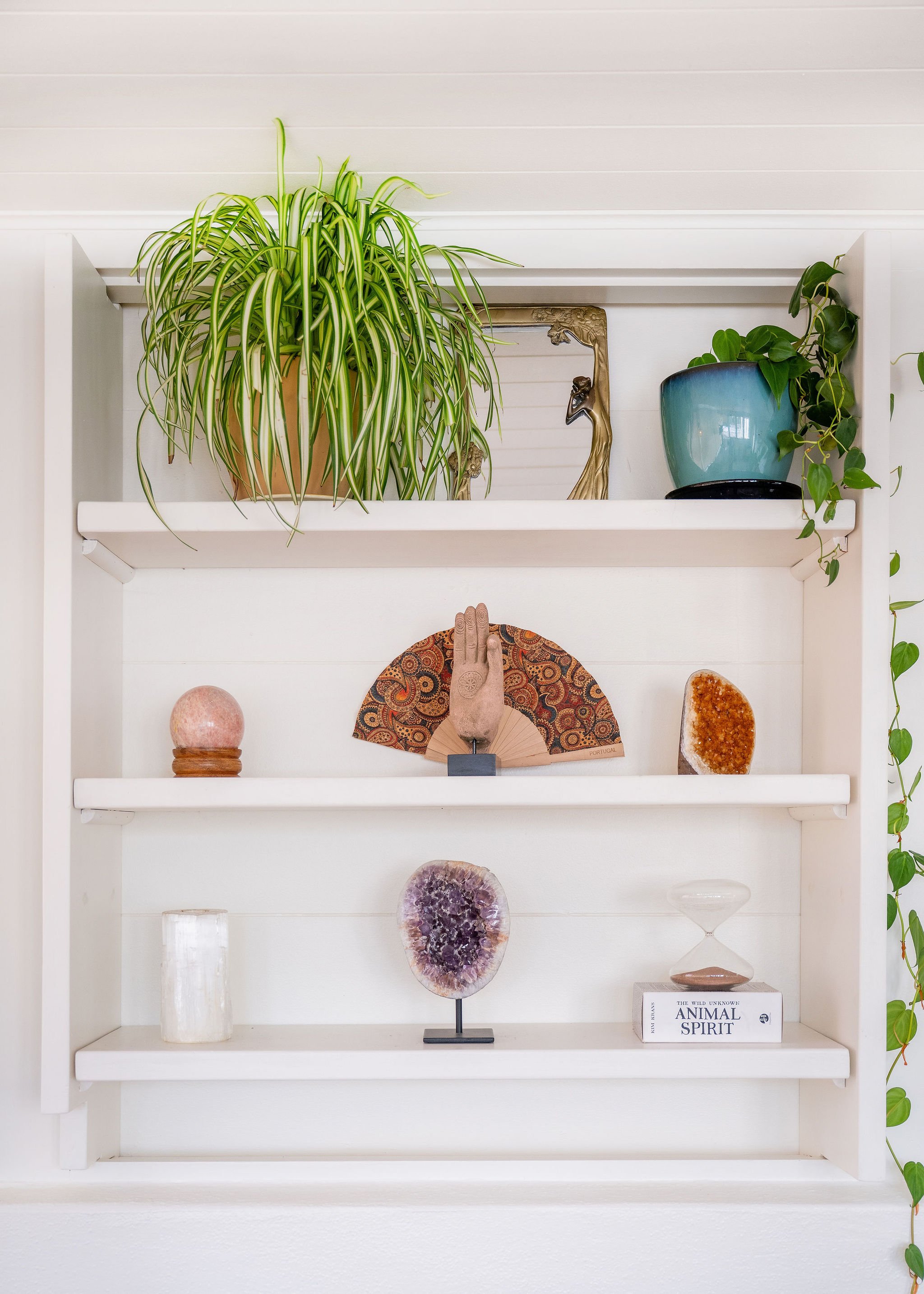 White bookshelf with green plants, crystals, a decorative fan, and a book titled 'Animal Spirit'