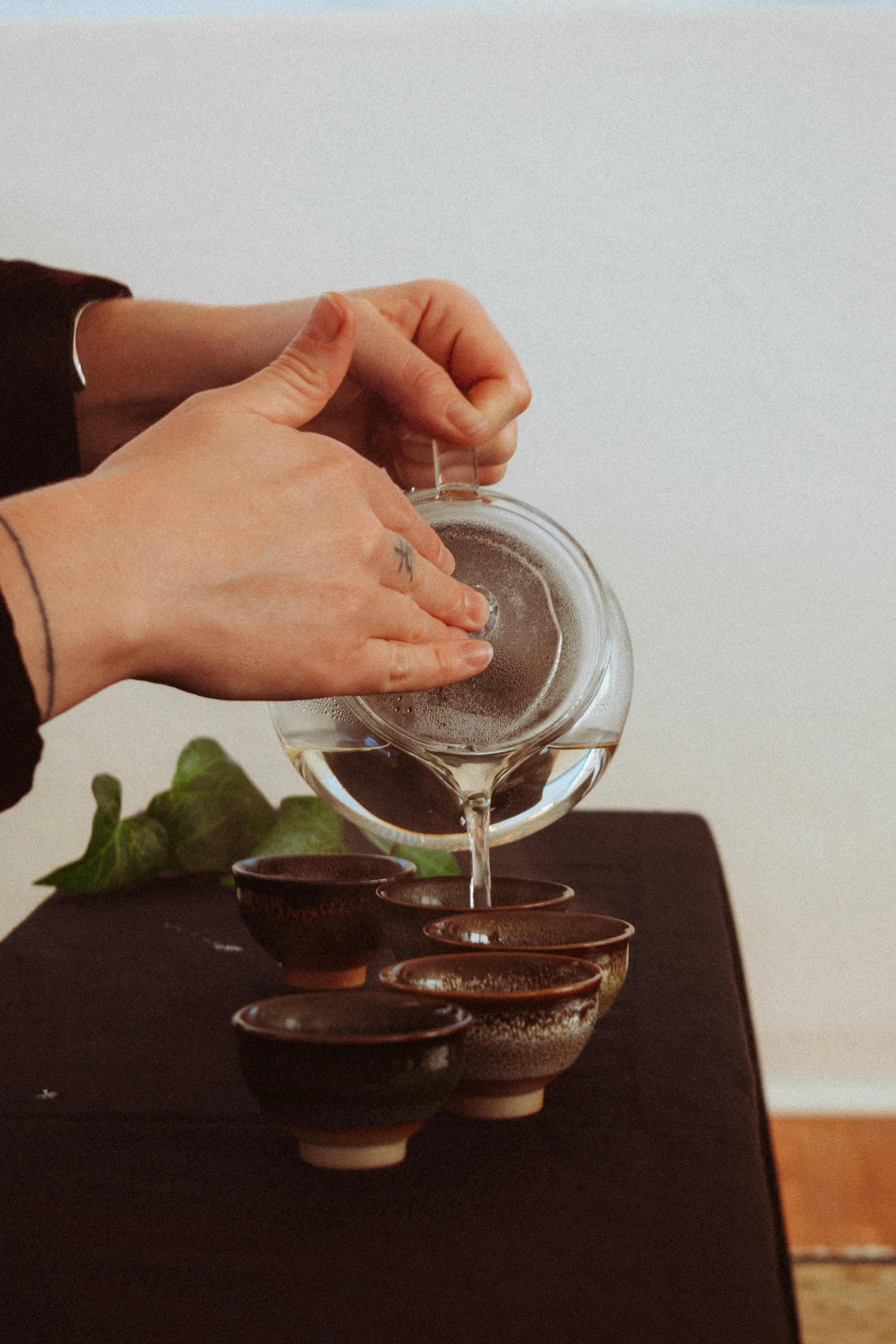 Hands pouring hot tea from a glass teapot into small traditional tea cups on a dark wooden tray, with green plant leaves in the background.