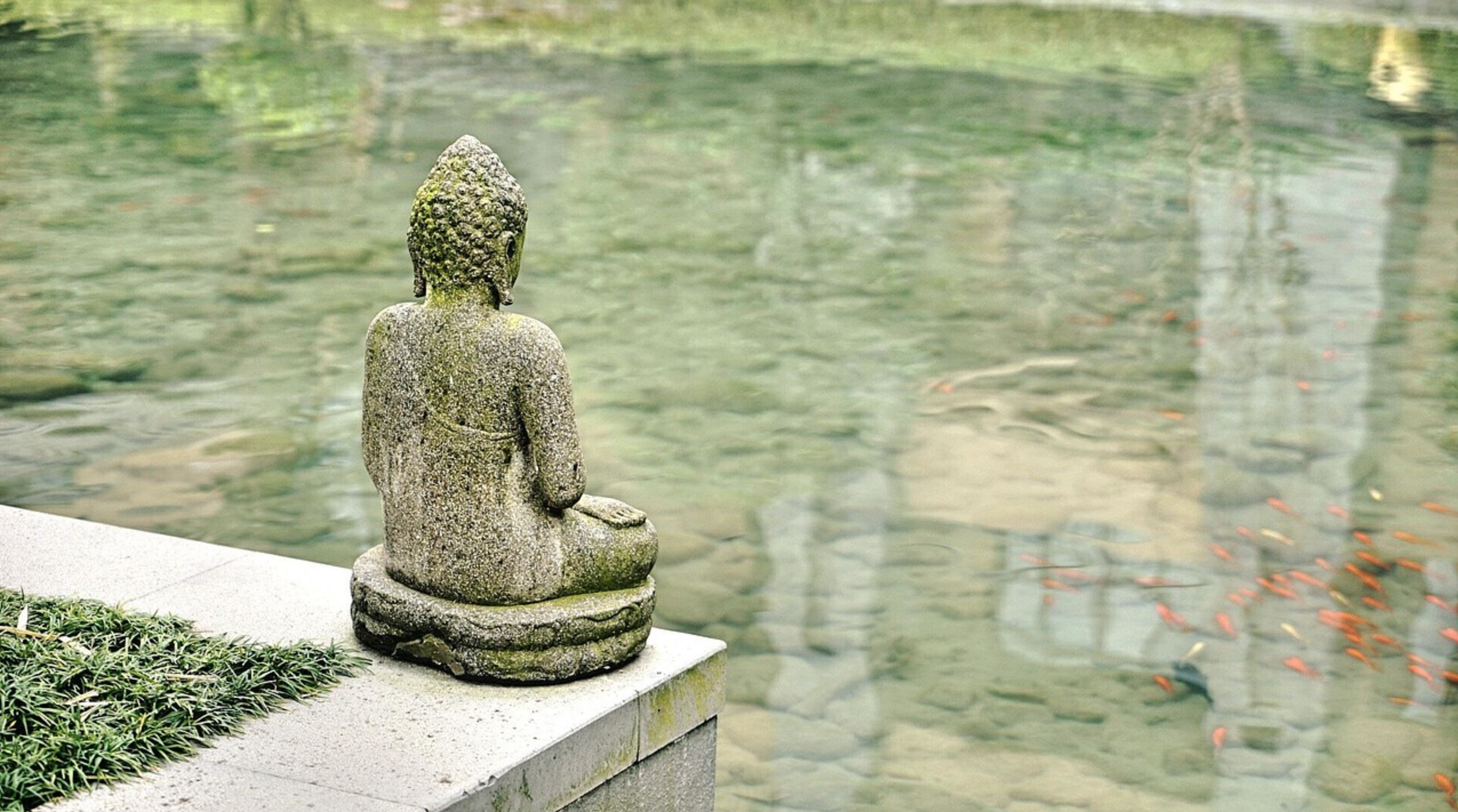 Buddhist stone statue sitting by a pond with fish.