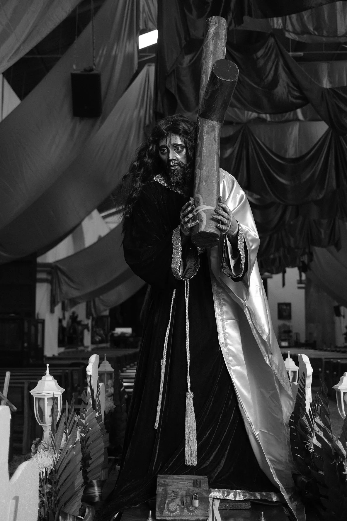 DSCF9538.JPG