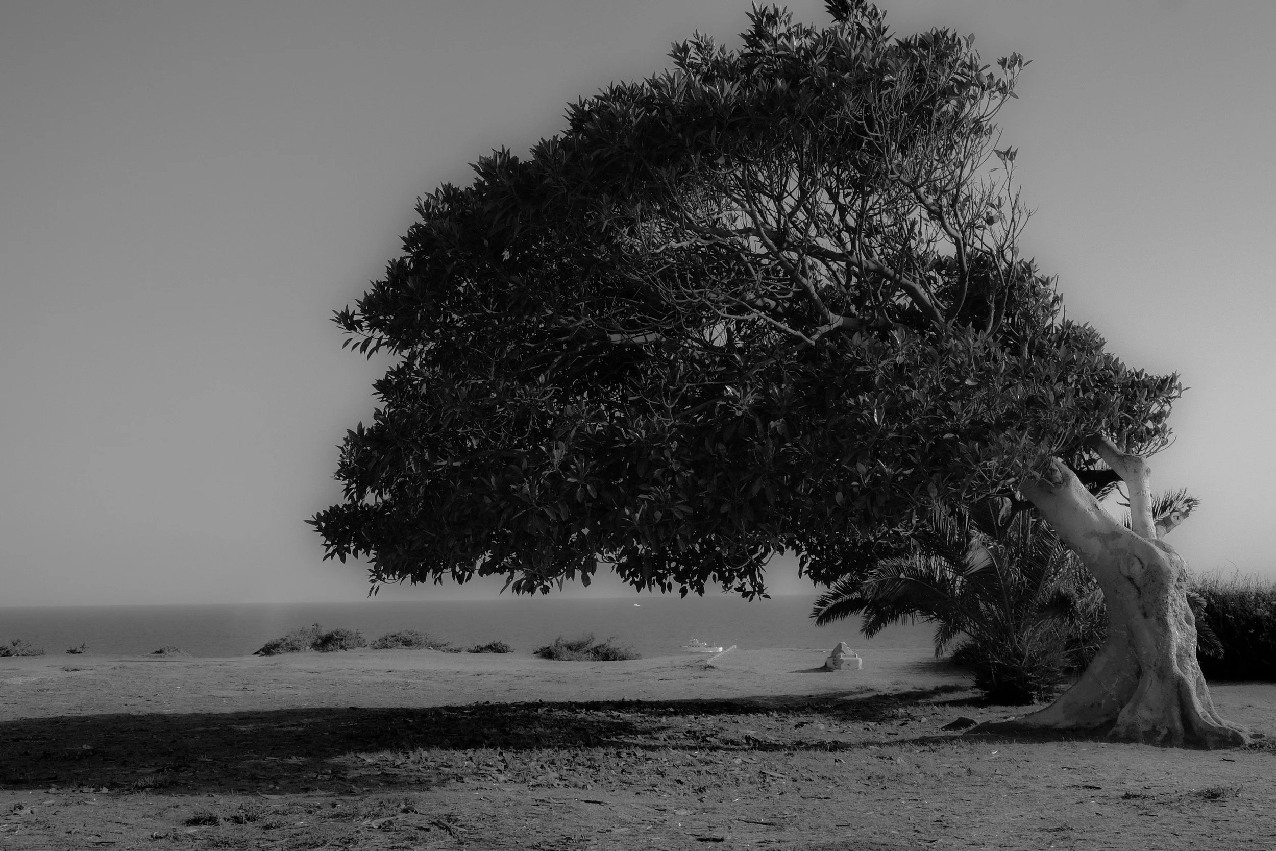 DSCF8747.jpg