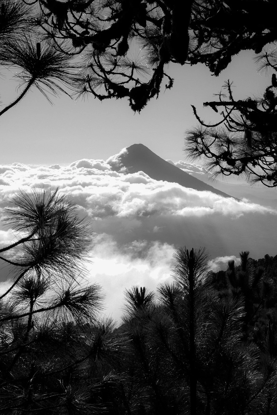 DSCF9273.JPG