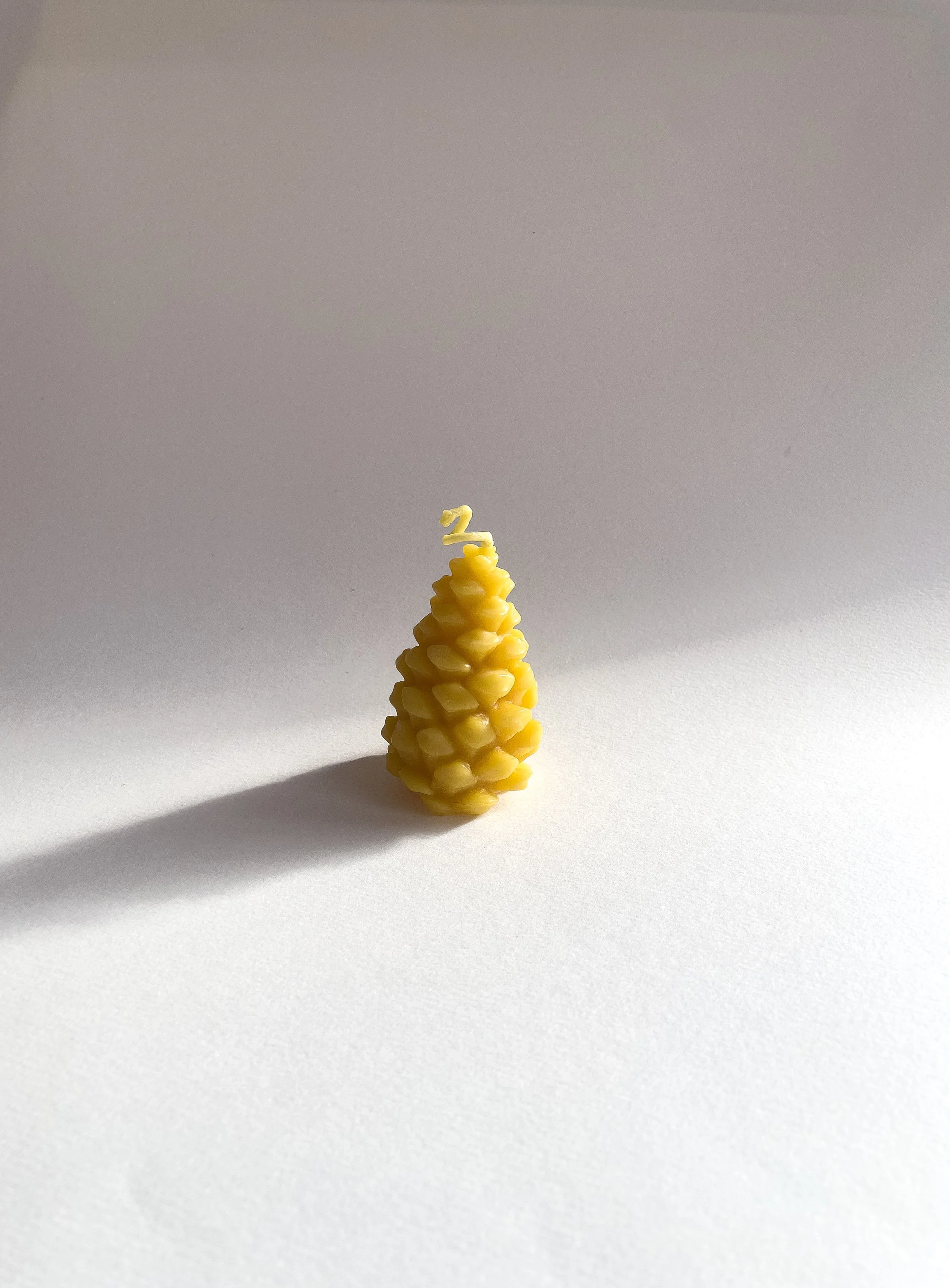 Pine Cone Beeswax Candle