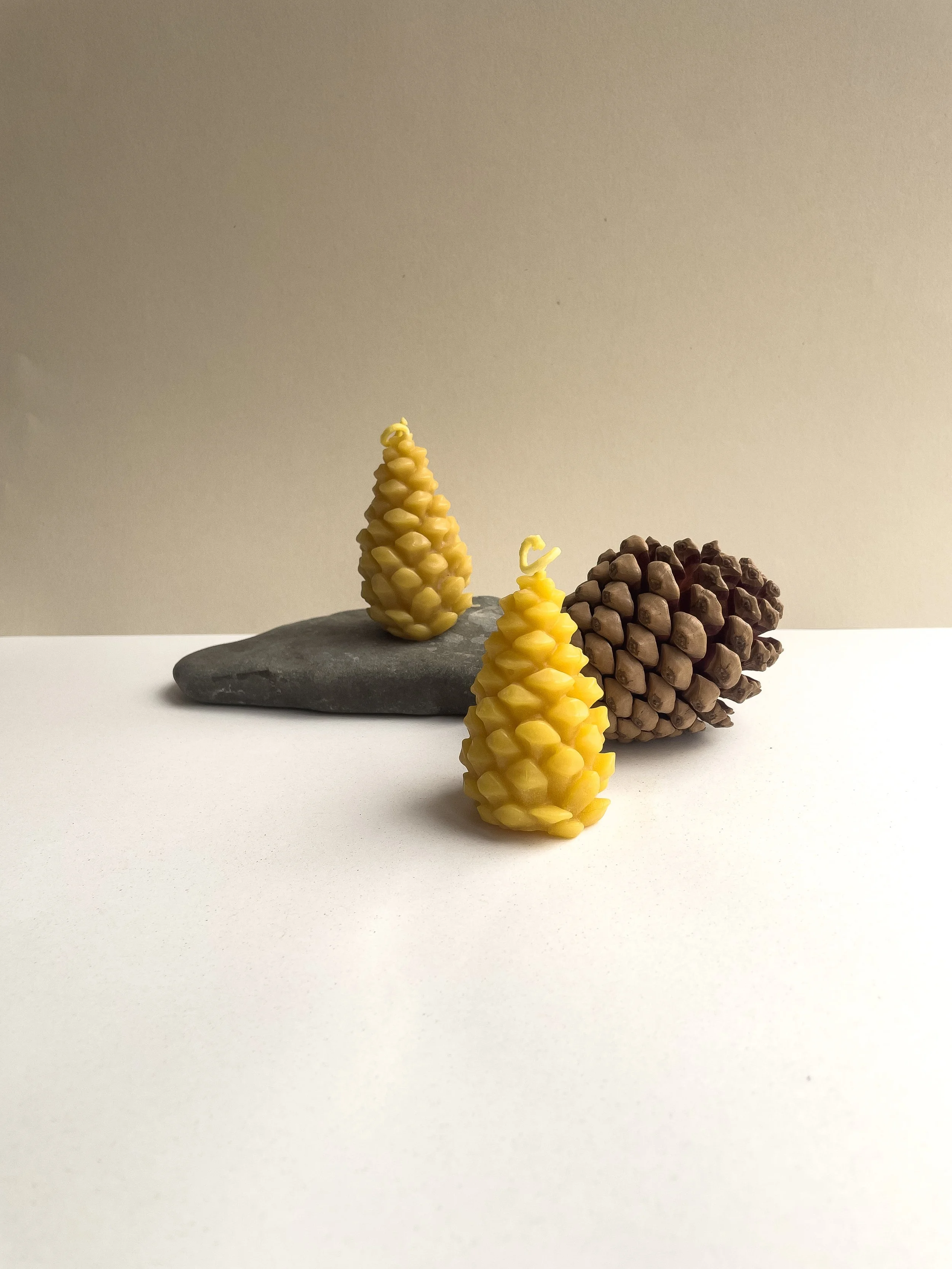 Pine Cone - 2.jpg