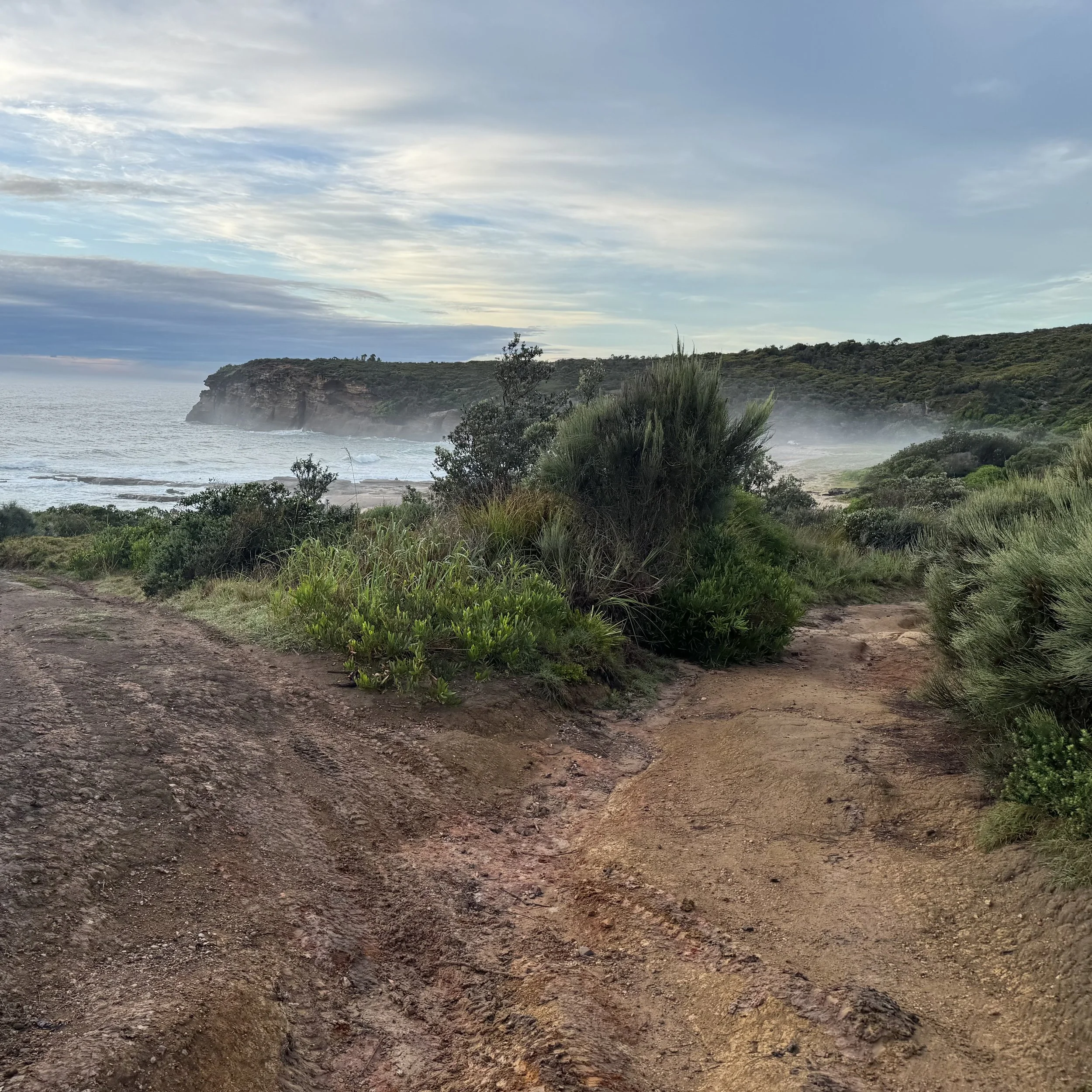 Misty headland and beach