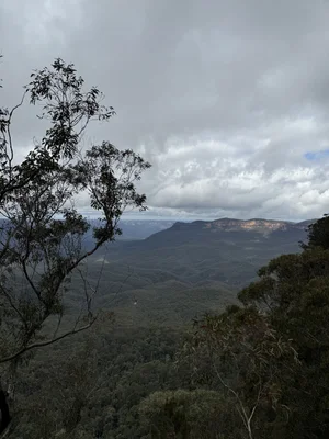 The Jamison Valley from the clifftop