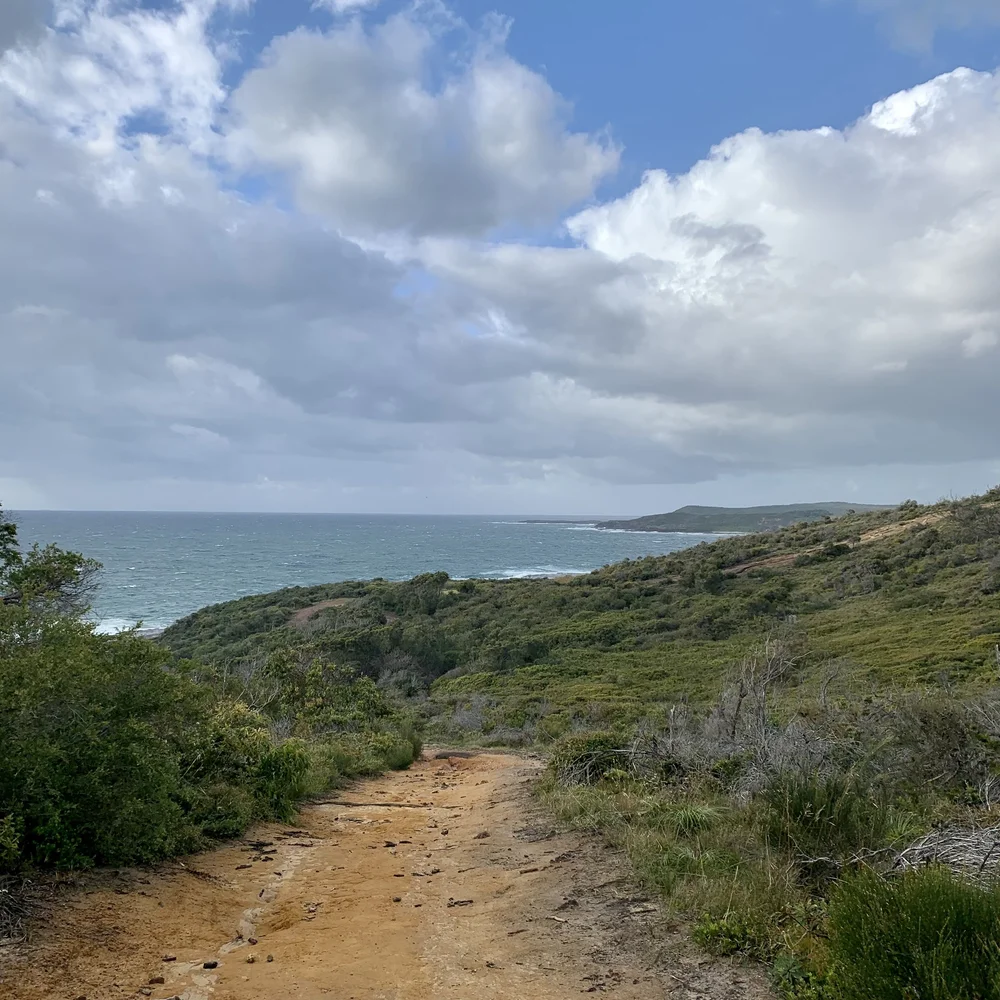 The track into Wallarah opening to the ocean and headland